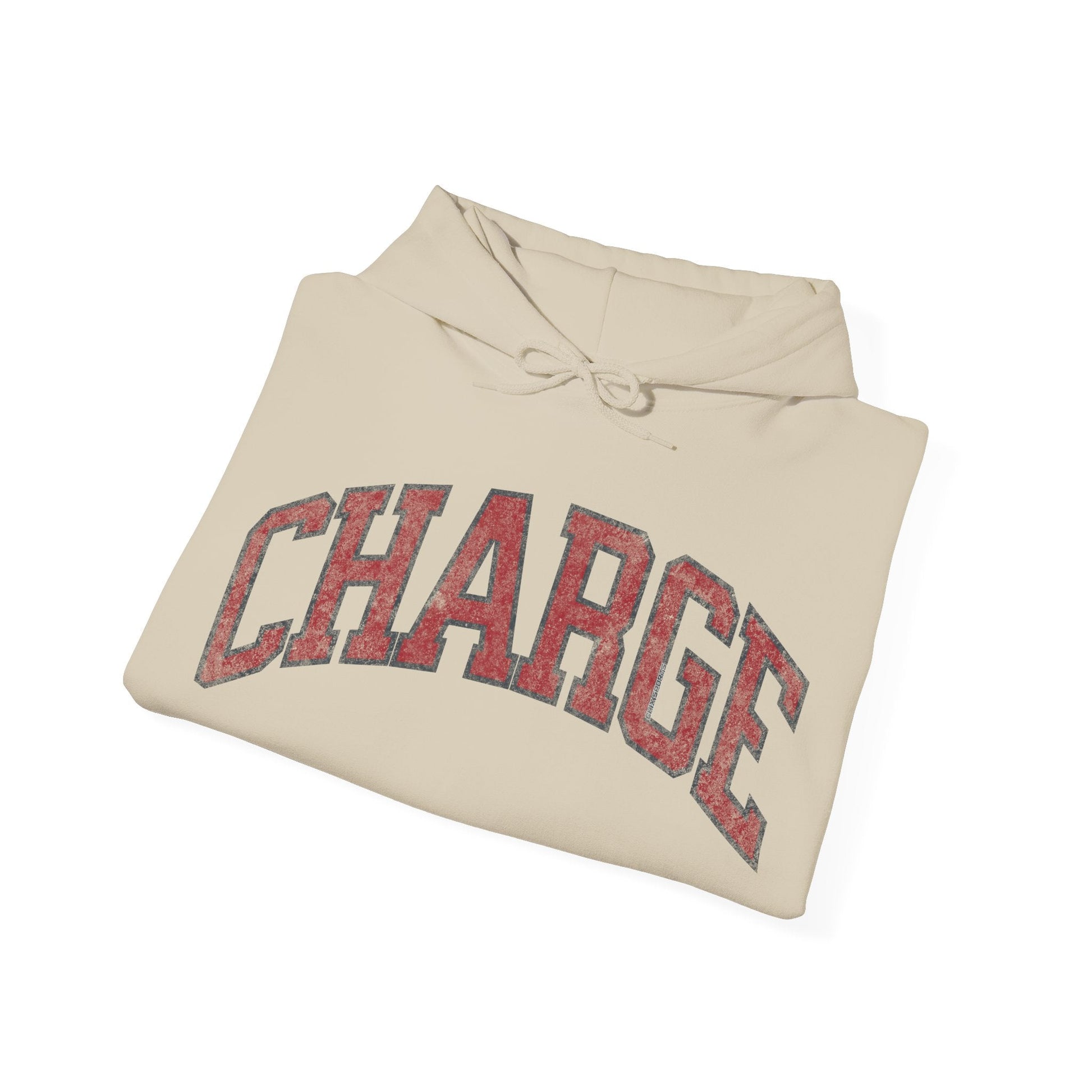 Ottawa Charge Vintage Hockey Unisex Heavy Hoodie | Chix Sports