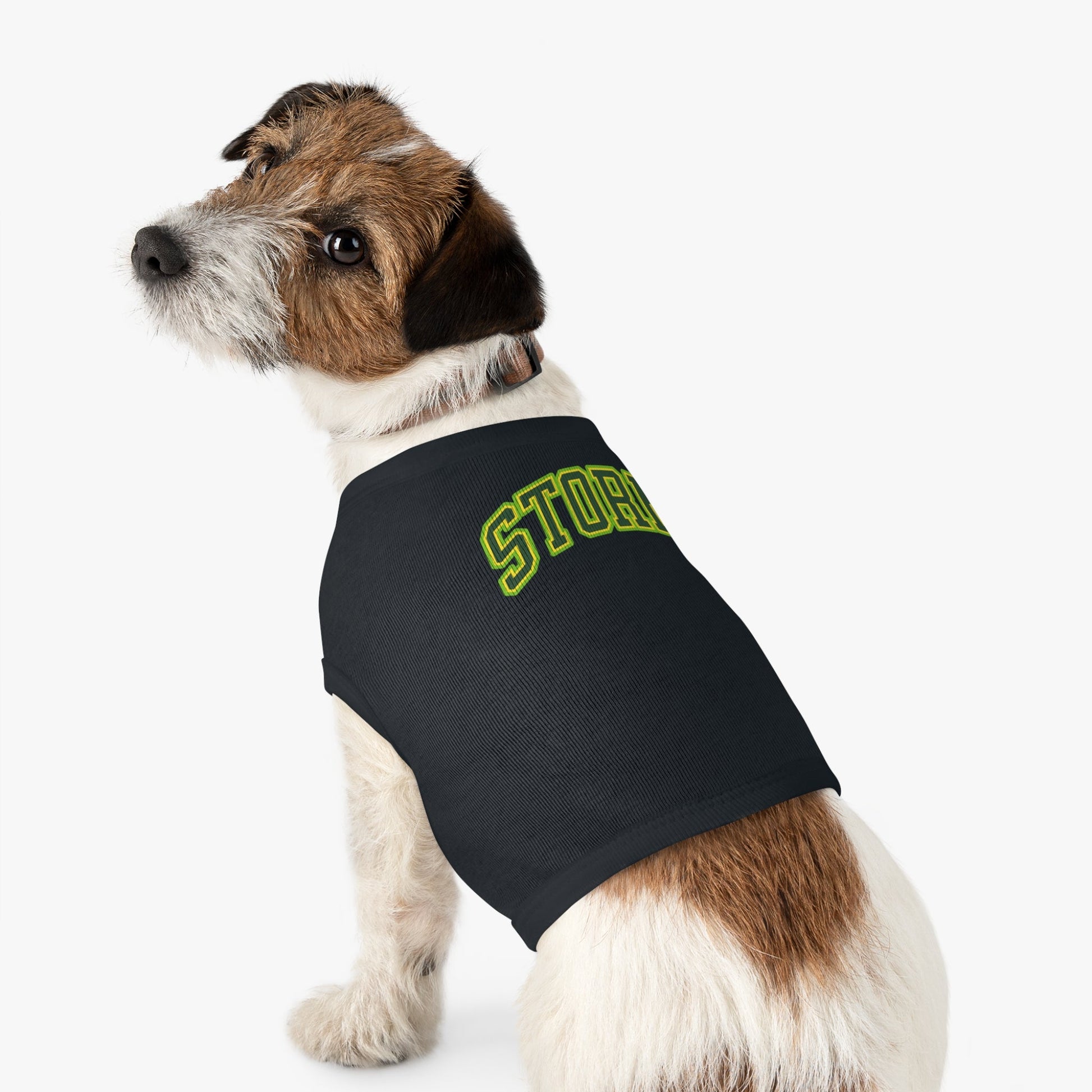 Seattle Storm Dog Sweater | Chix Sports