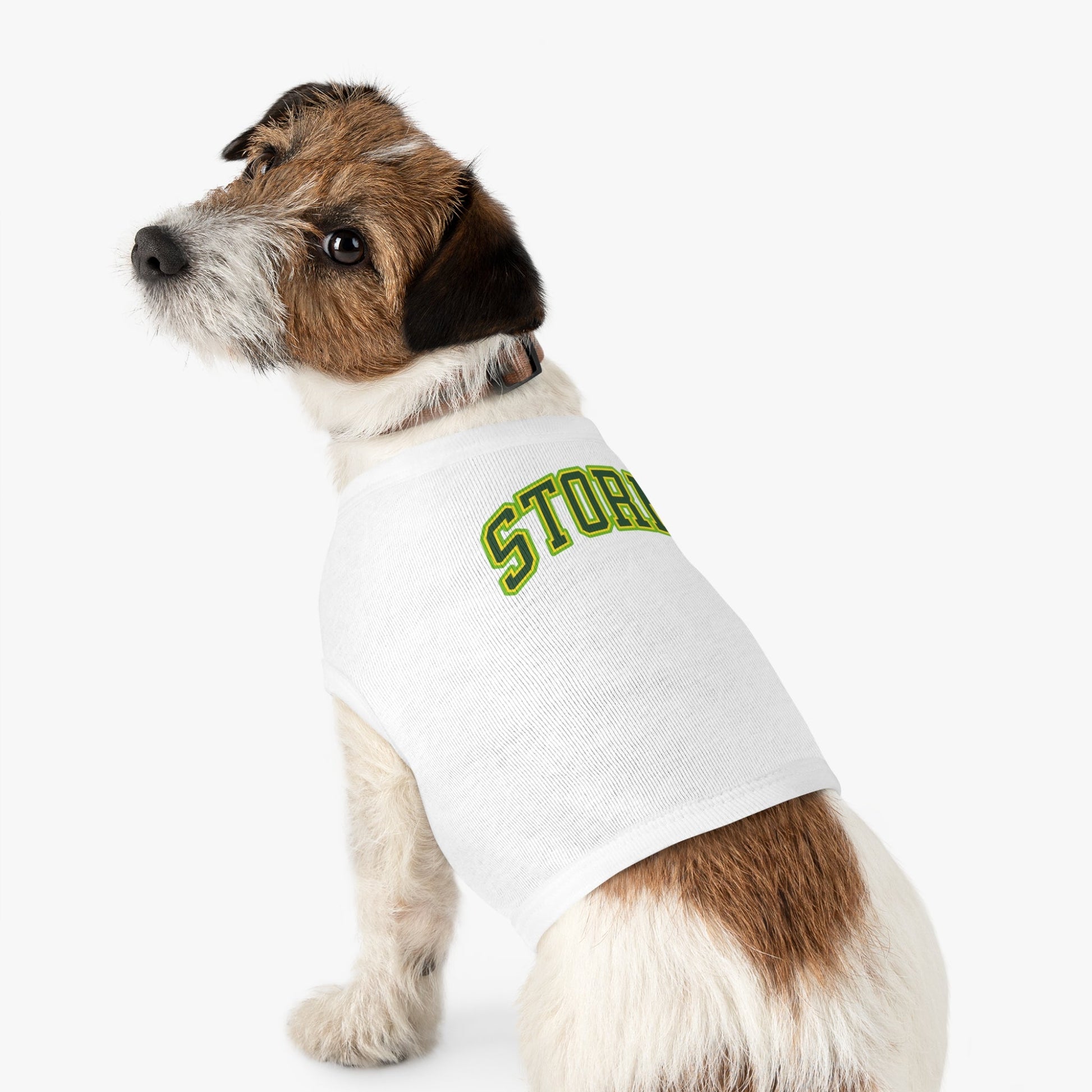 Seattle Storm Dog Sweater | Chix Sports