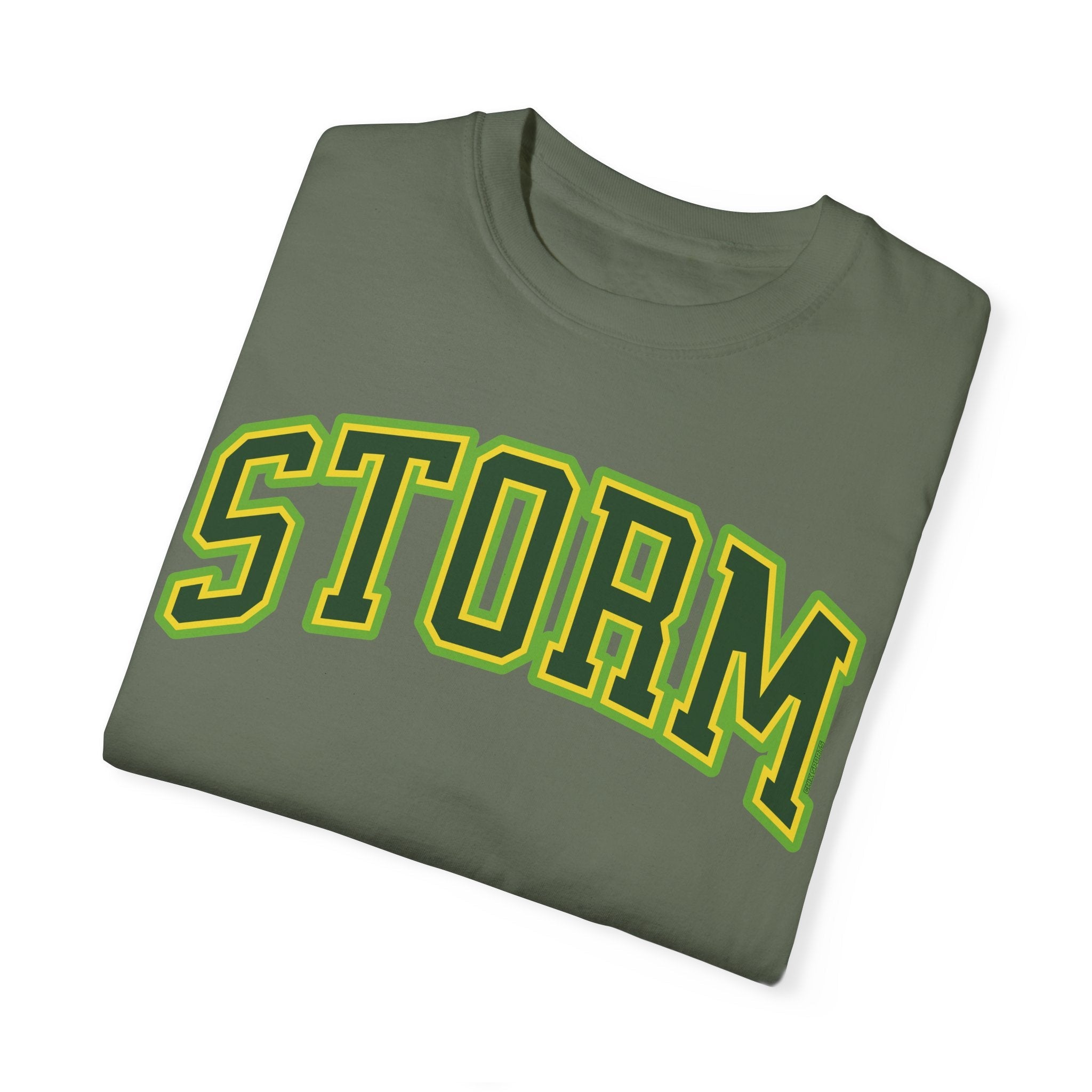 Storm Basketball Premium Shirt | Chix Sports