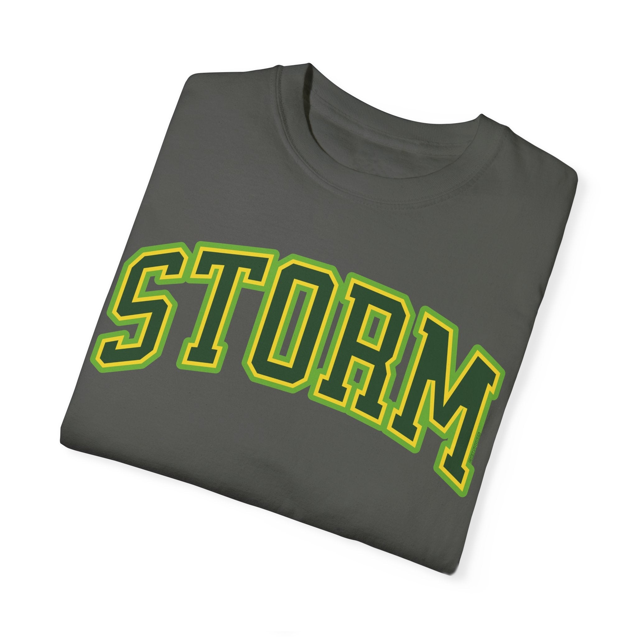 Storm Basketball Premium Shirt | Chix Sports