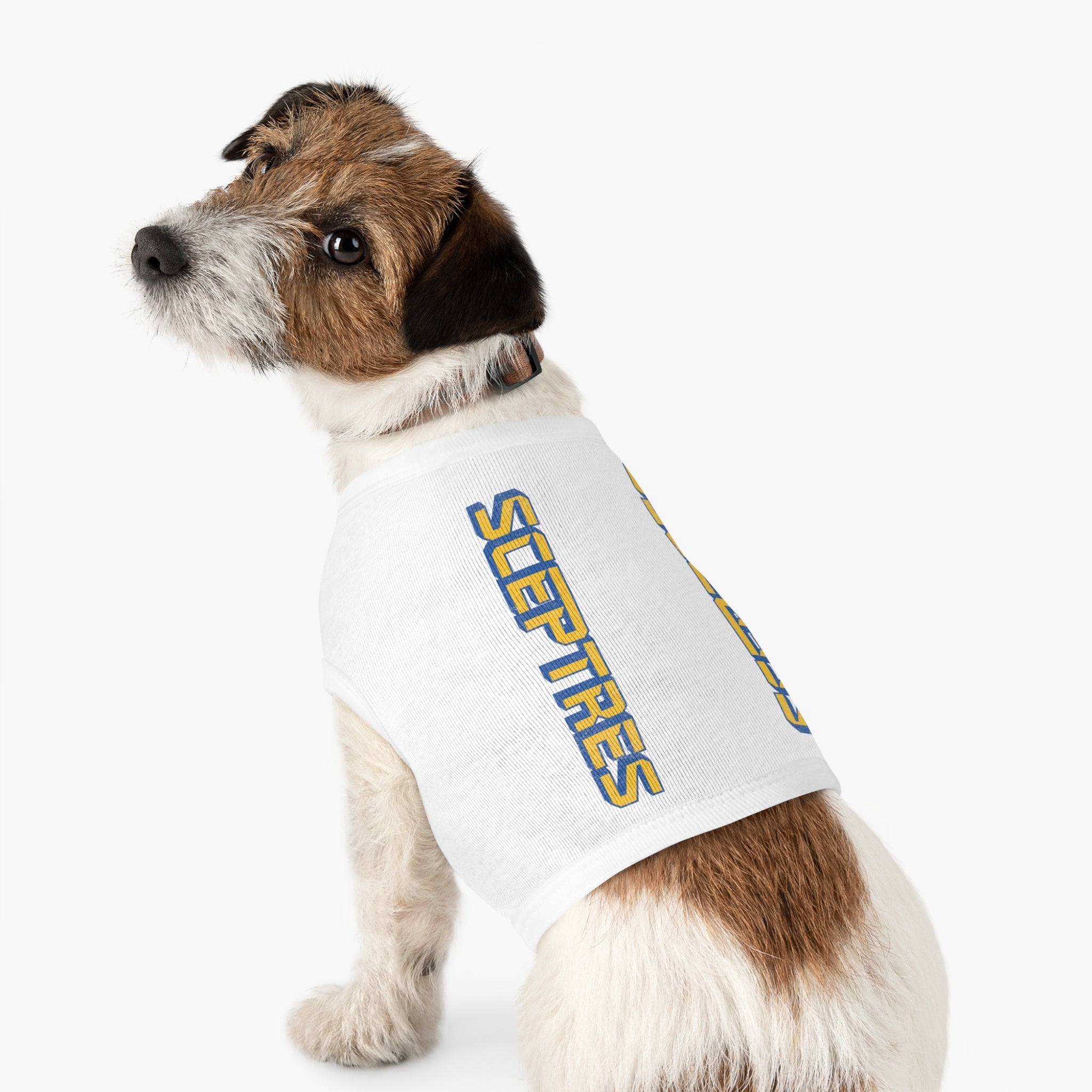 Toronto Sceptres Dog Sweater | Chix Sports