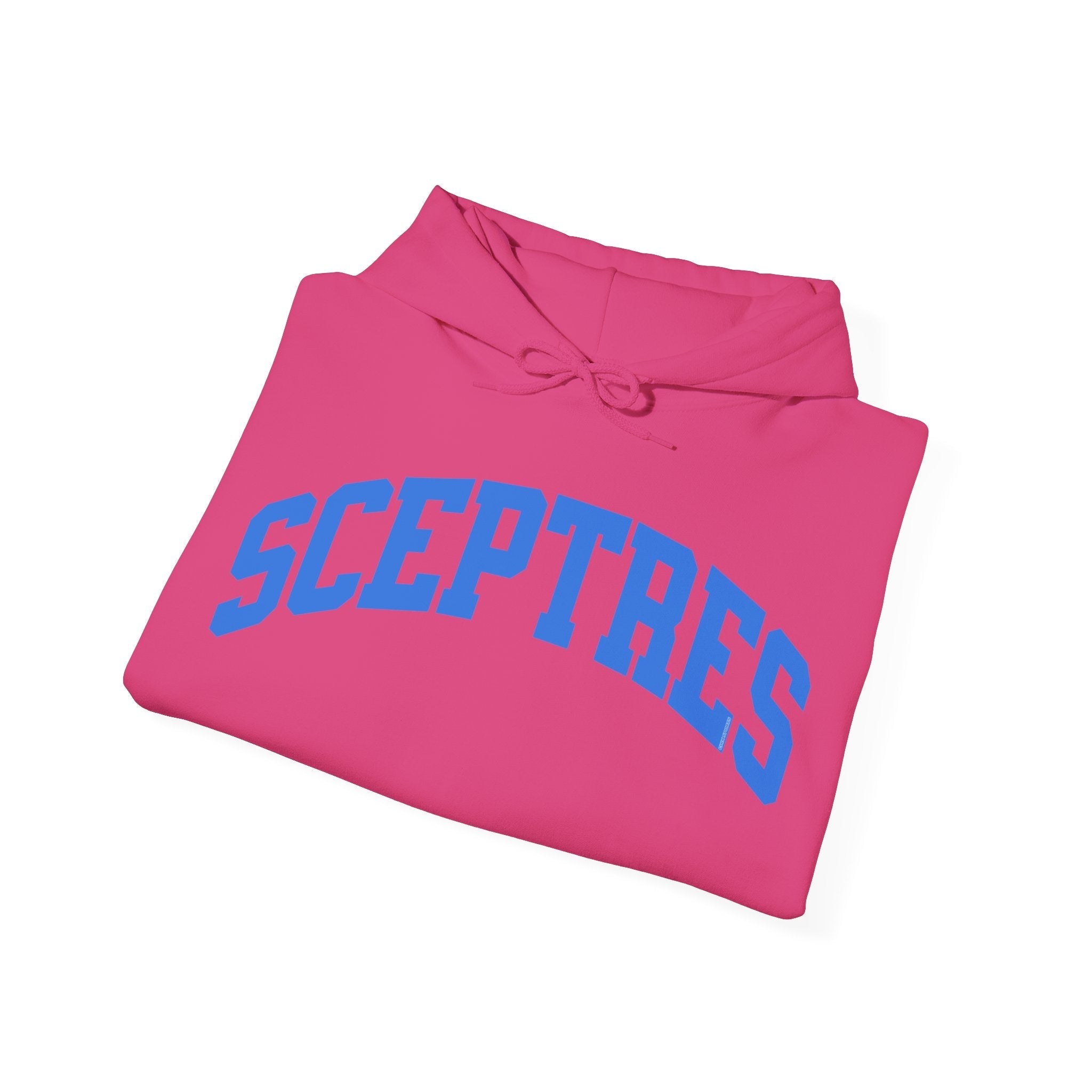 Toronto Sceptres Unisex Heavy Hoodie | Chix Sports