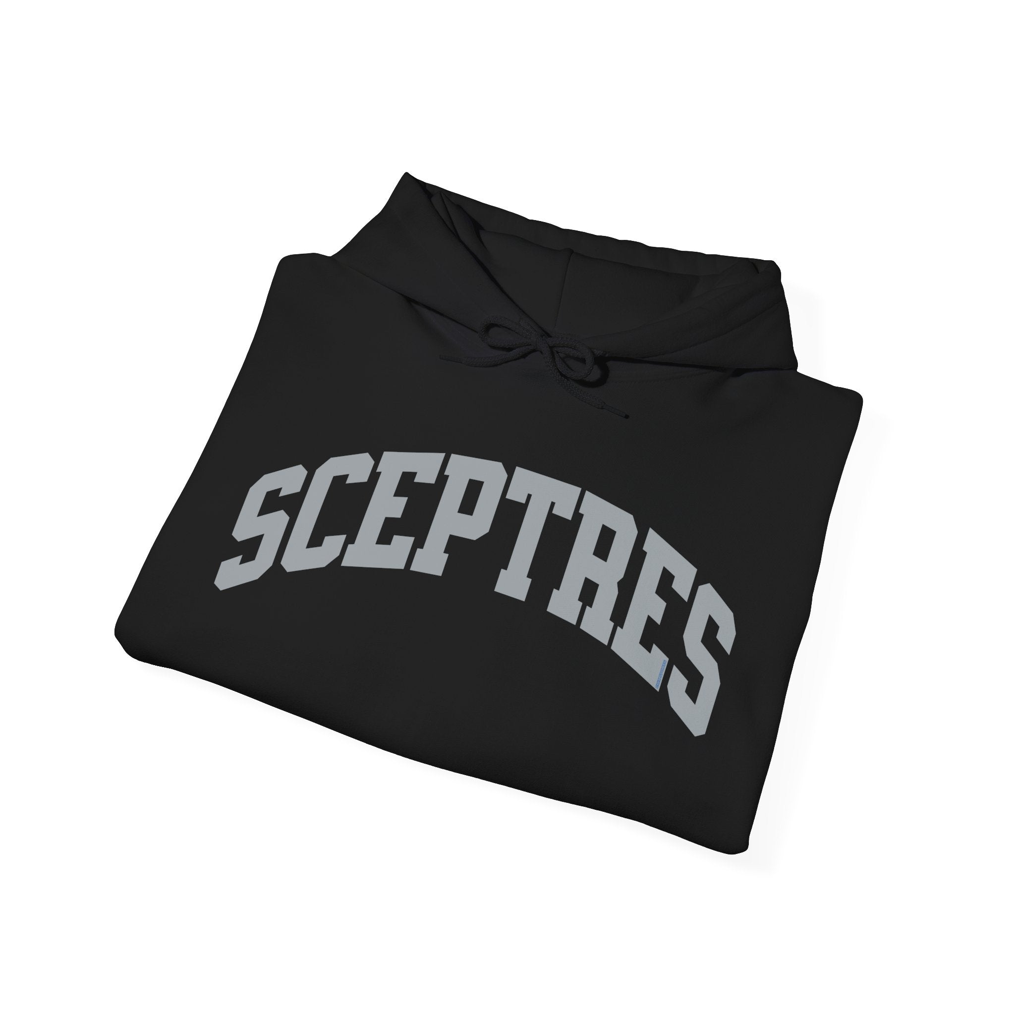 Toronto Sceptres Unisex Heavy Hoodie | Chix Sports