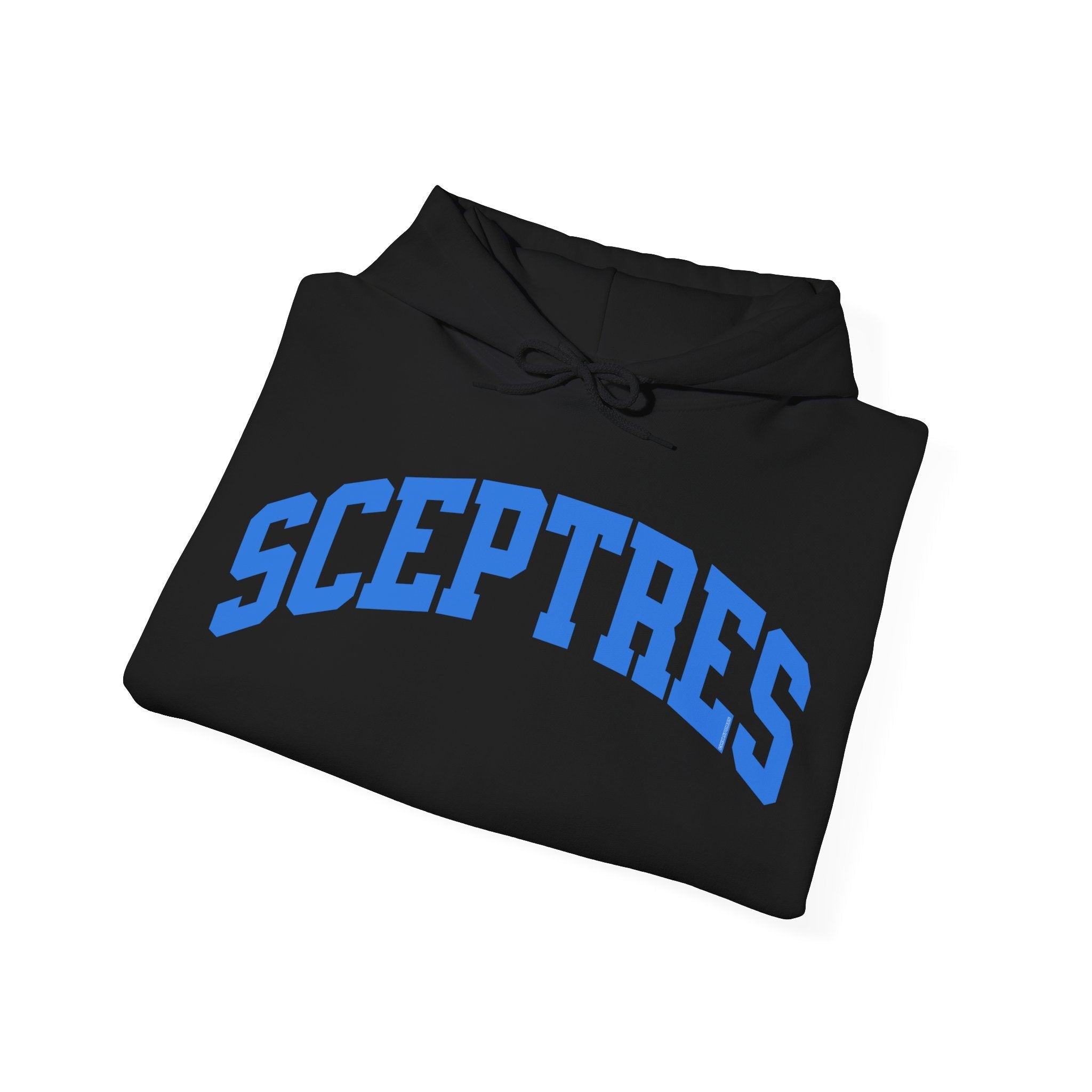 Toronto Sceptres Unisex Heavy Hoodie | Chix Sports