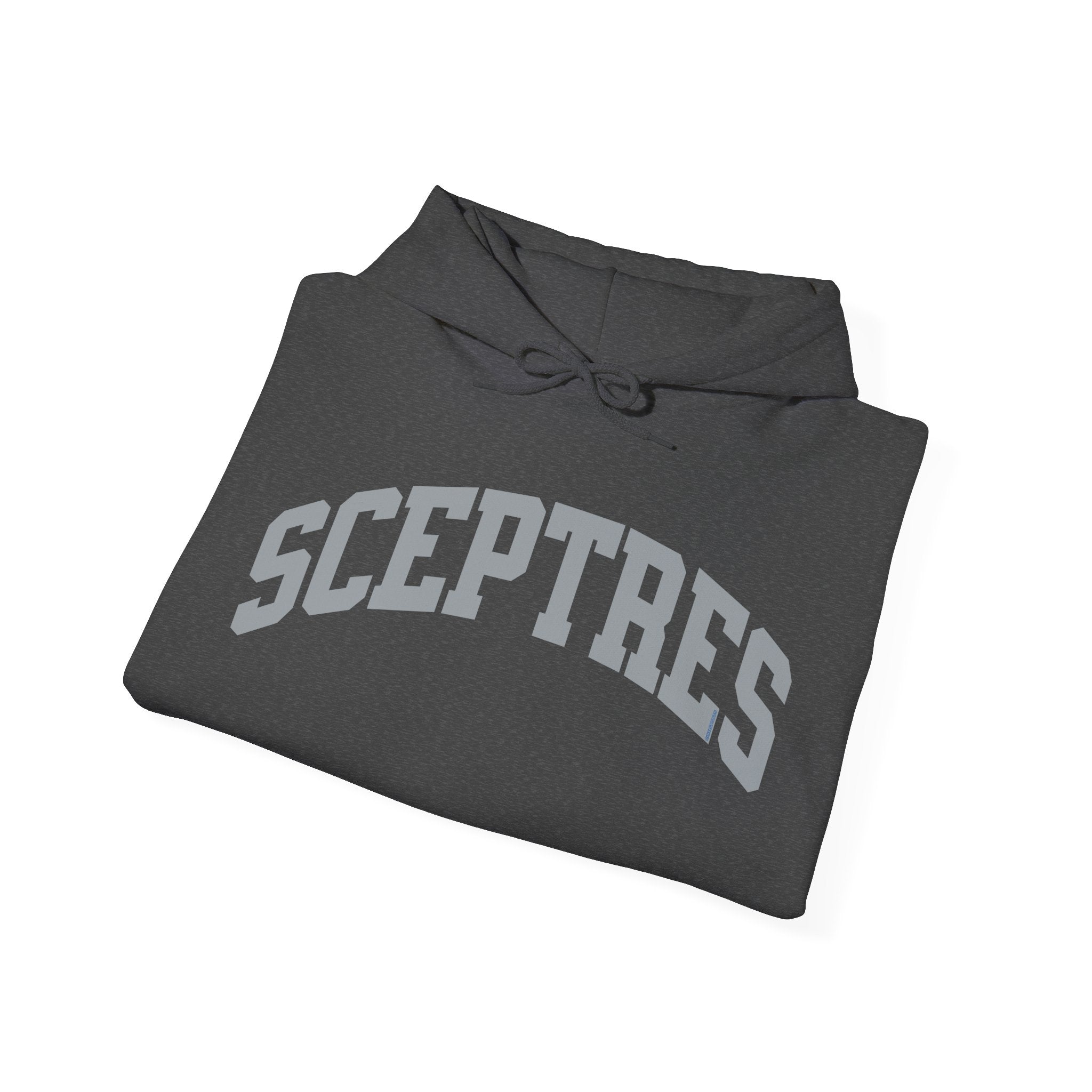 Toronto Sceptres Unisex Heavy Hoodie | Chix Sports