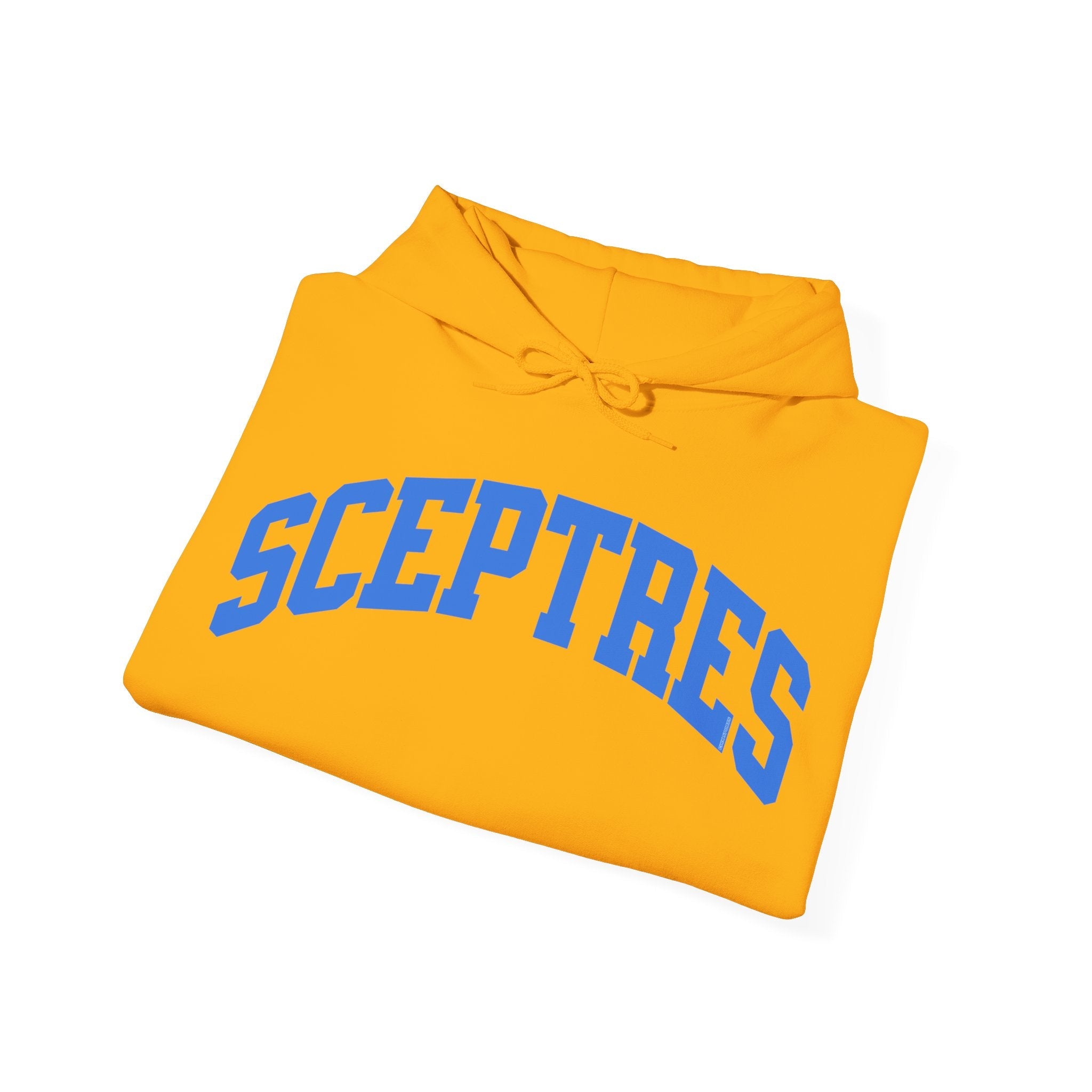 Toronto Sceptres Unisex Heavy Hoodie | Chix Sports