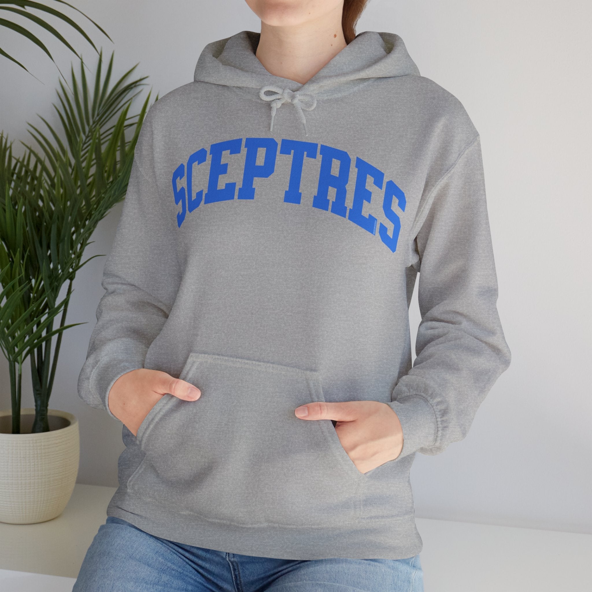 Toronto Sceptres Unisex Heavy Hoodie | Chix Sports