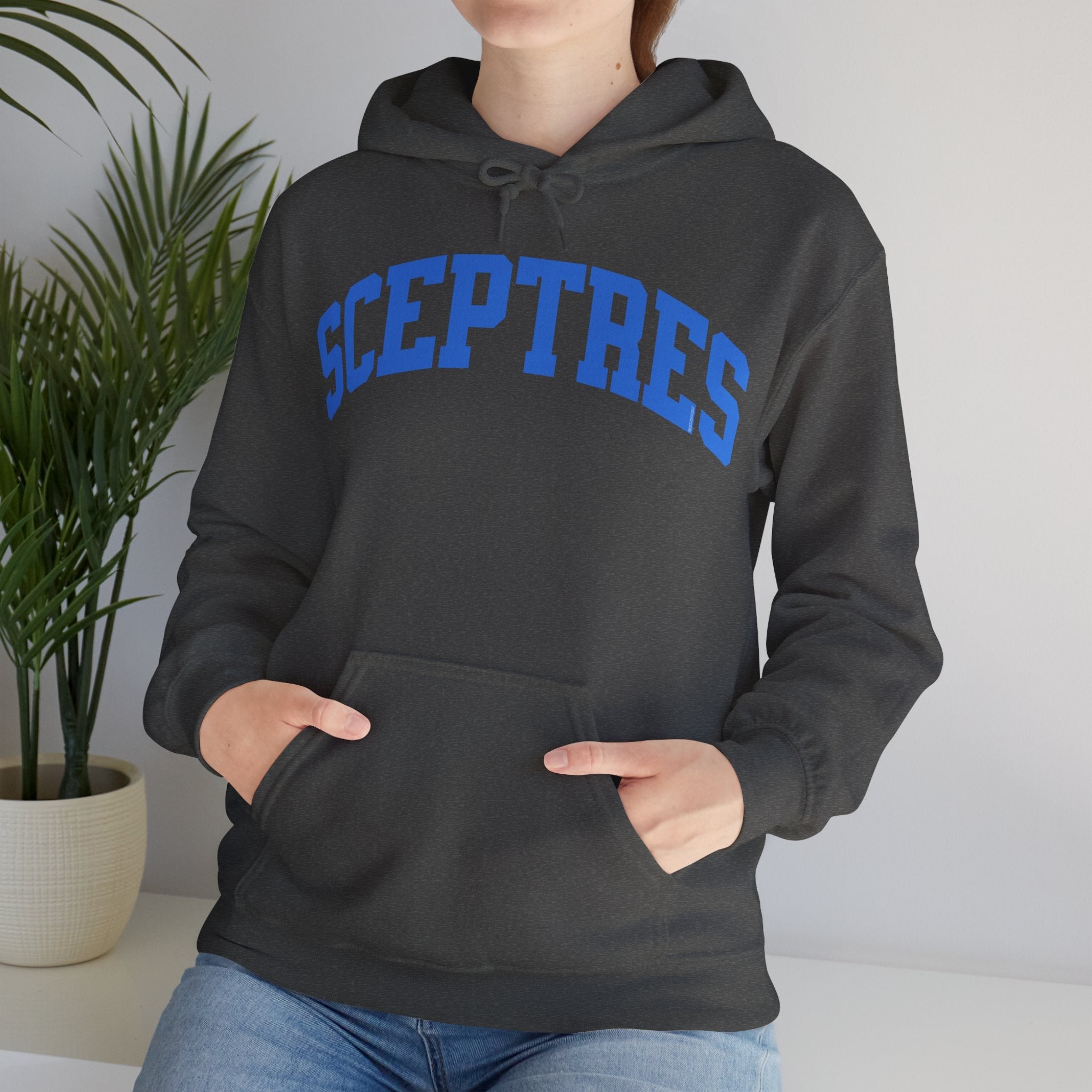 Toronto Sceptres Unisex Heavy Hoodie | Chix Sports