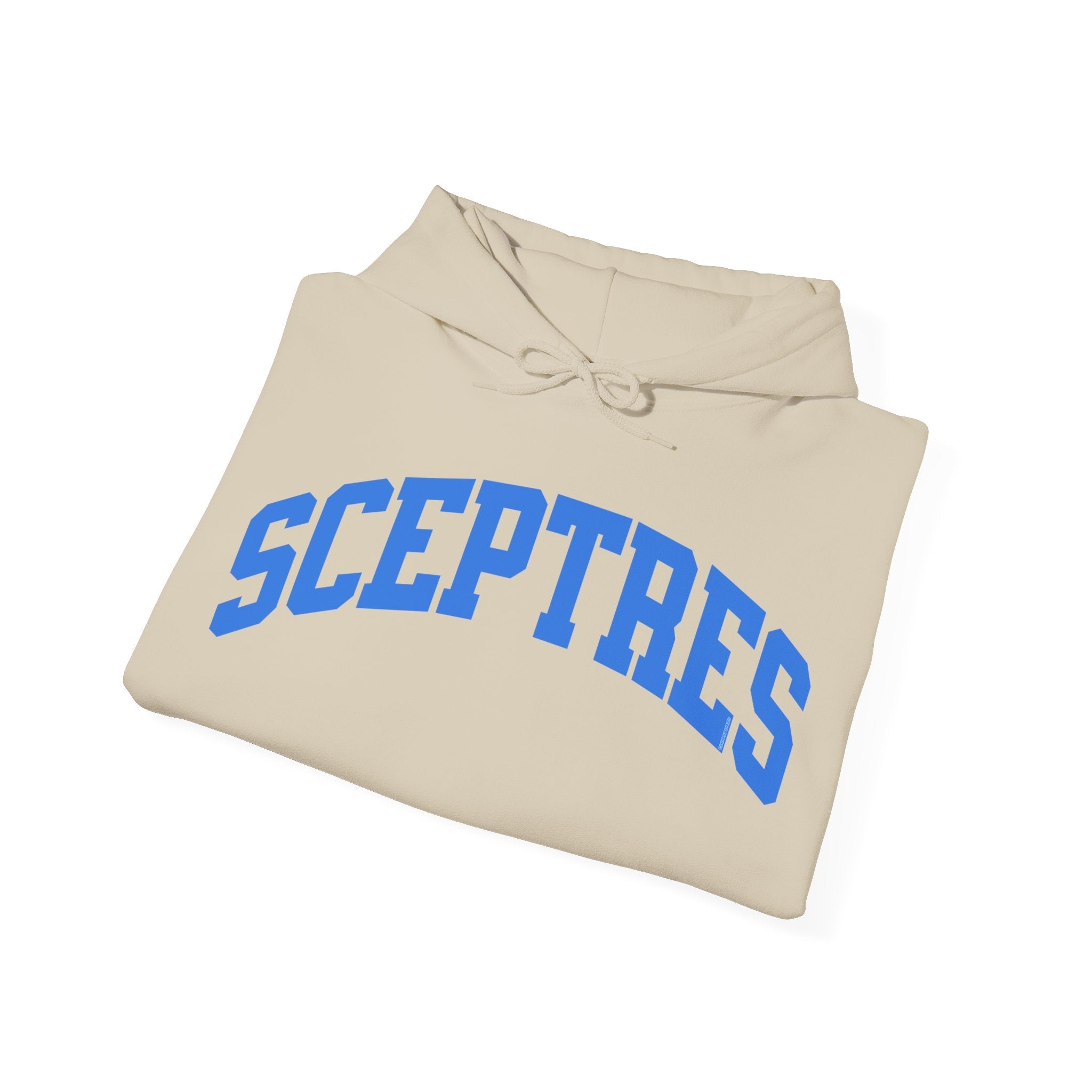 Toronto Sceptres Unisex Heavy Hoodie | Chix Sports