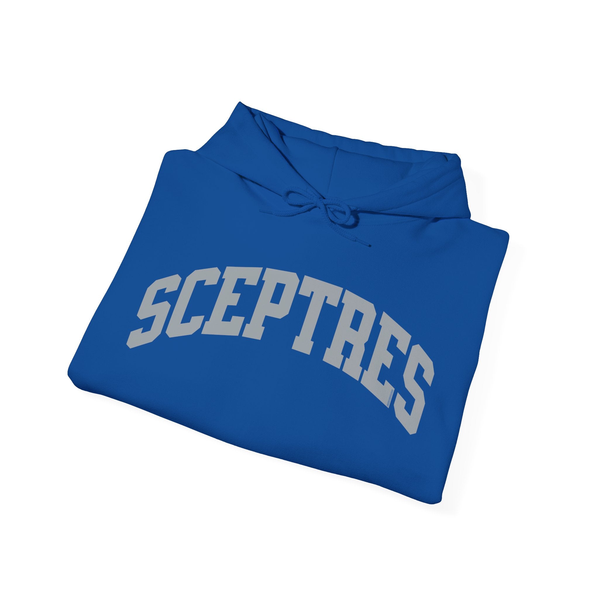 Toronto Sceptres Unisex Heavy Hoodie | Chix Sports