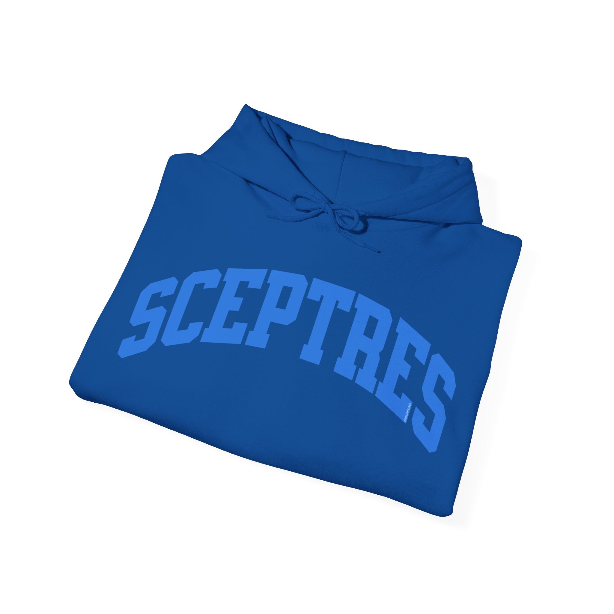 Toronto Sceptres Unisex Heavy Hoodie | Chix Sports