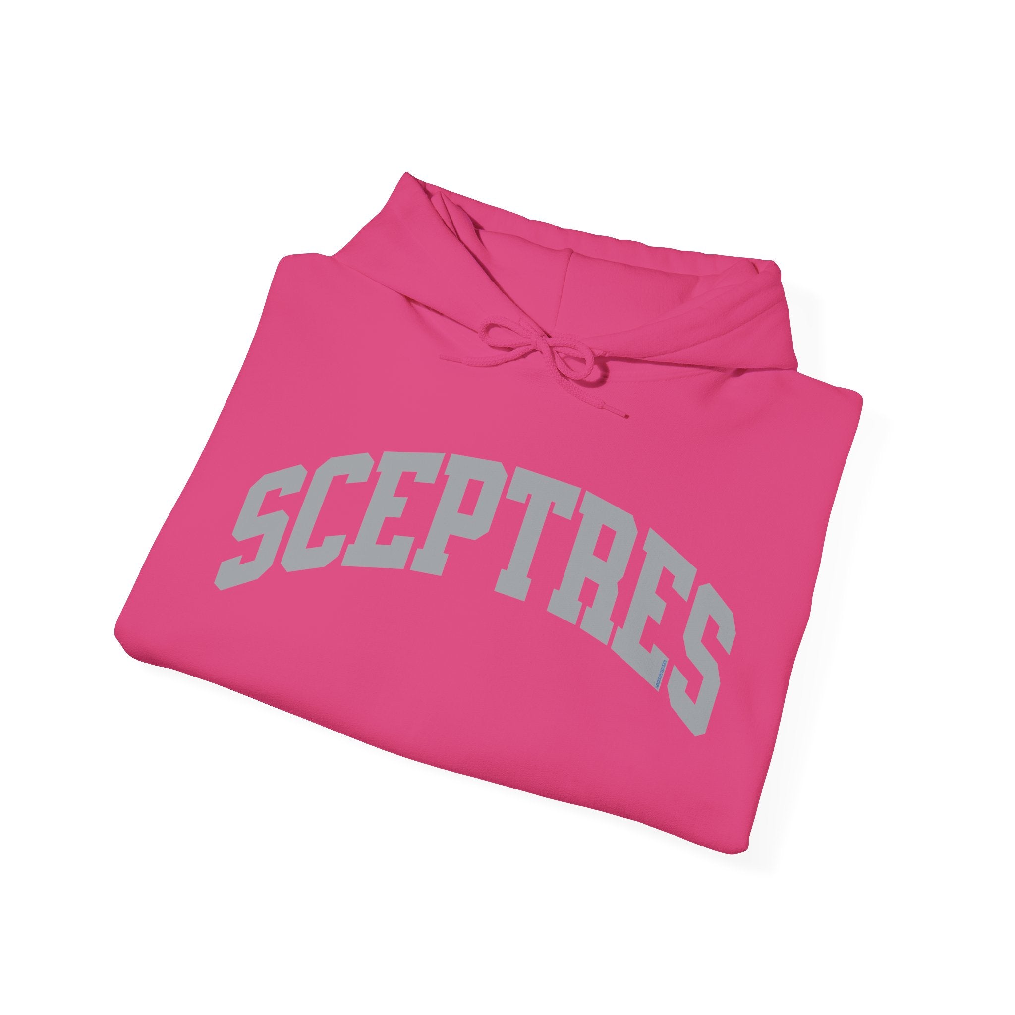 Toronto Sceptres Unisex Heavy Hoodie | Chix Sports
