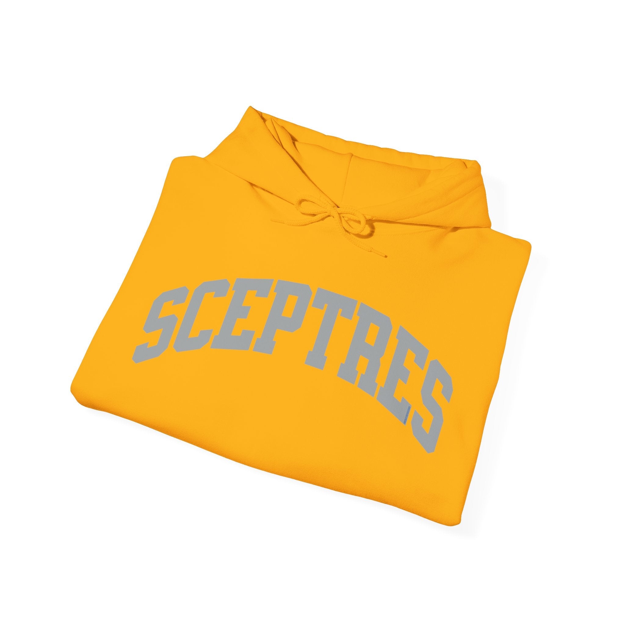 Toronto Sceptres Unisex Heavy Hoodie | Chix Sports