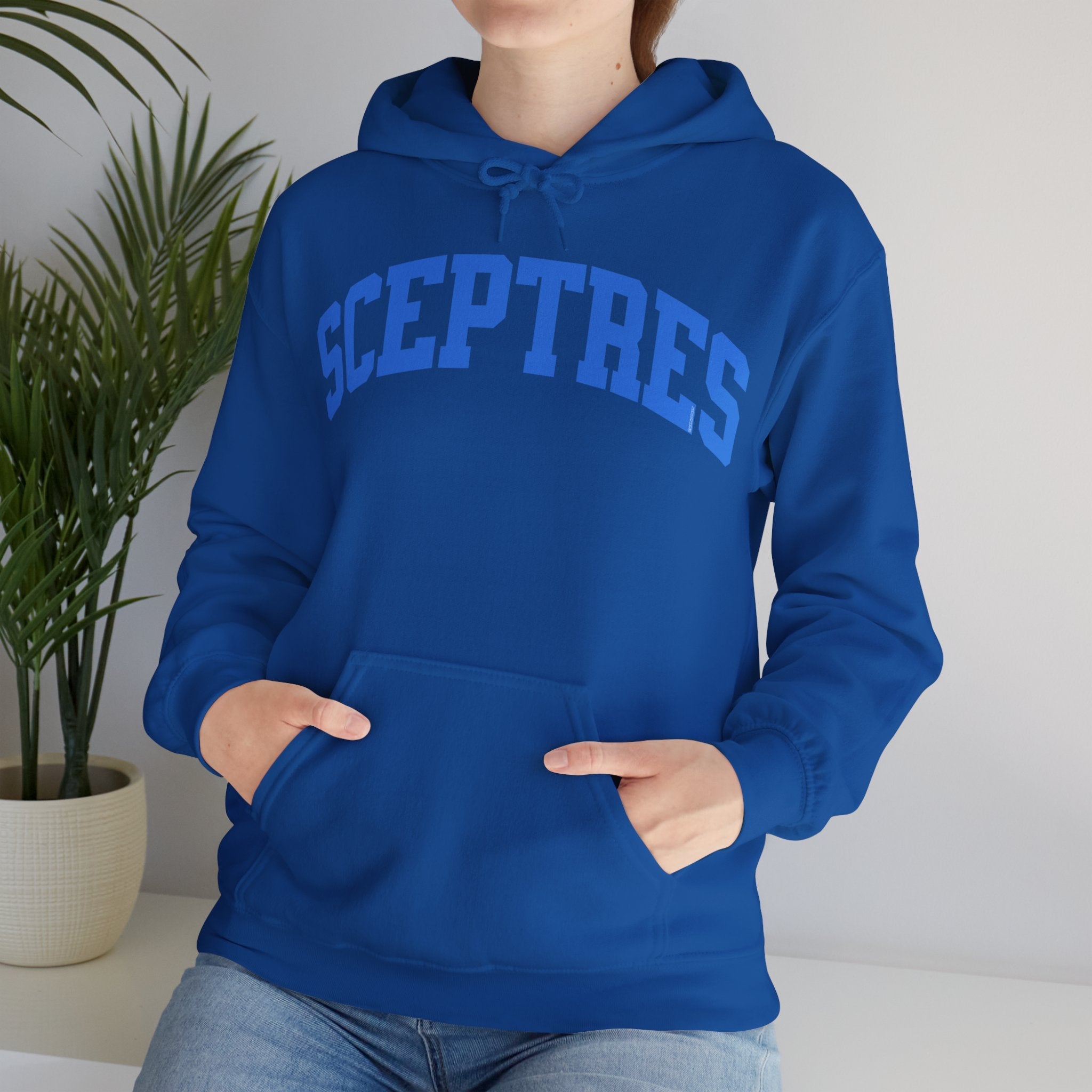 Toronto Sceptres Unisex Heavy Hoodie | Chix Sports