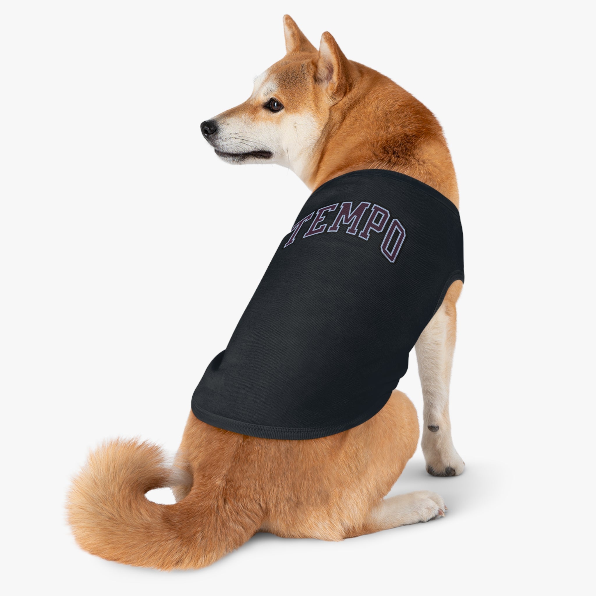 Toronto Tempo Dog Sweater | Chix Sports