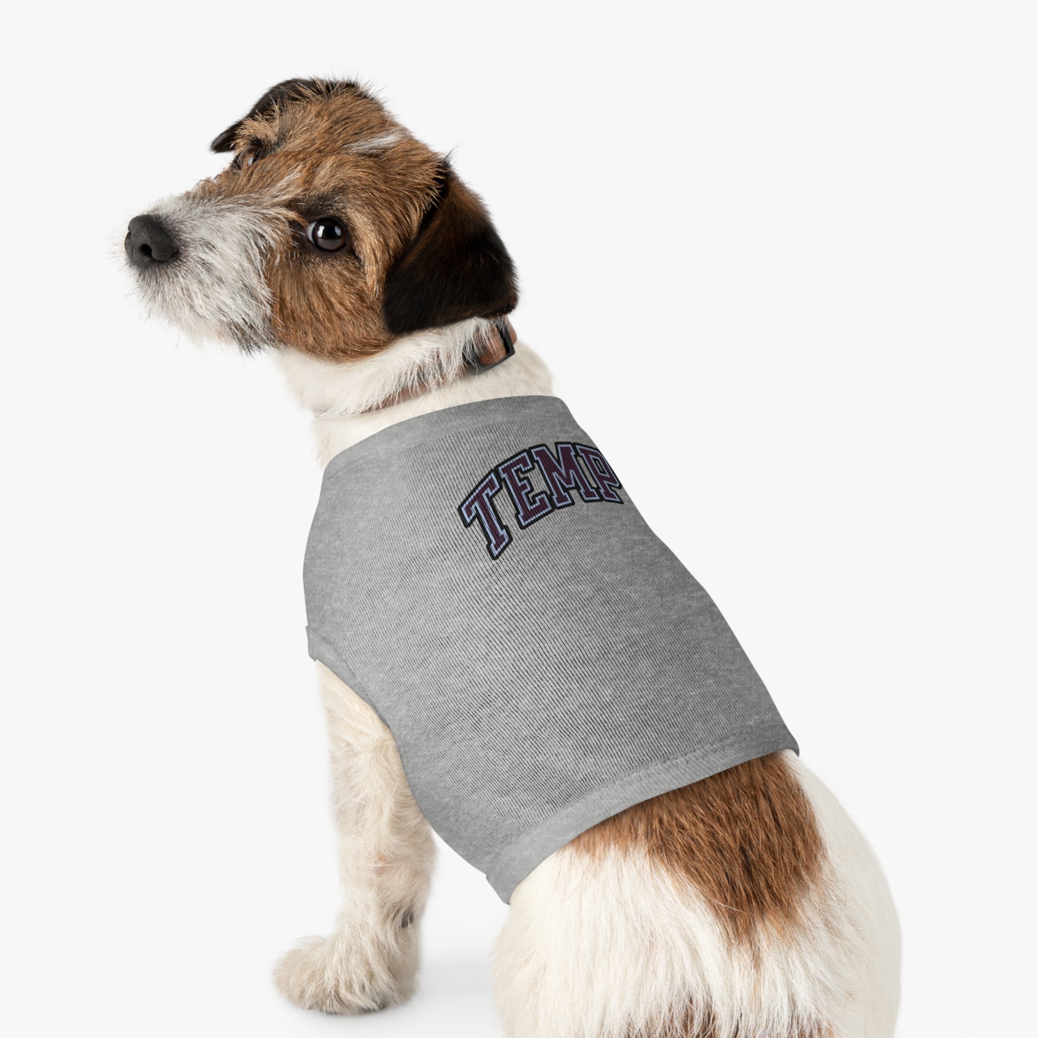 Toronto Tempo Dog Sweater | Chix Sports