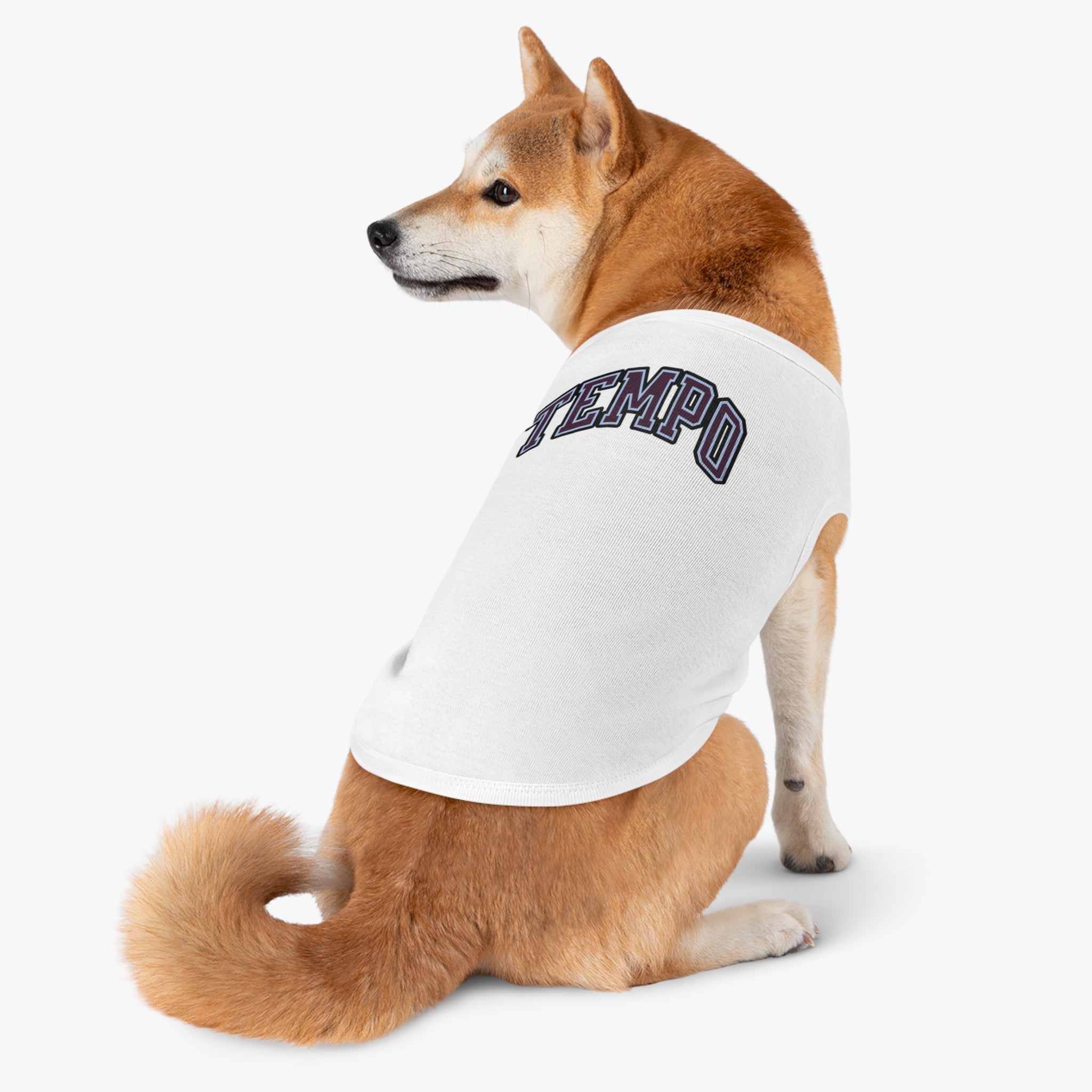 Toronto Tempo Dog Sweater | Chix Sports