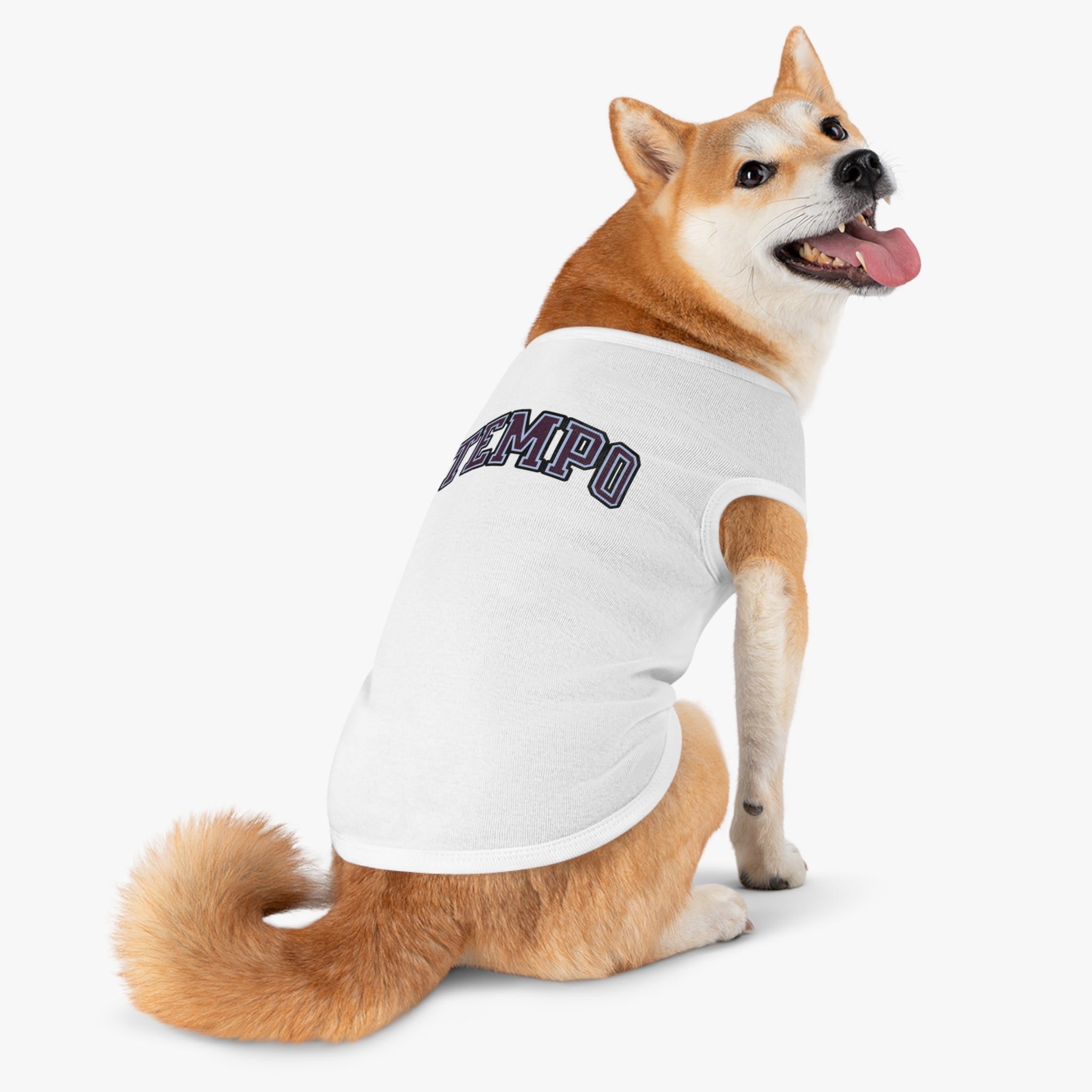 Toronto Tempo Dog Sweater | Chix Sports