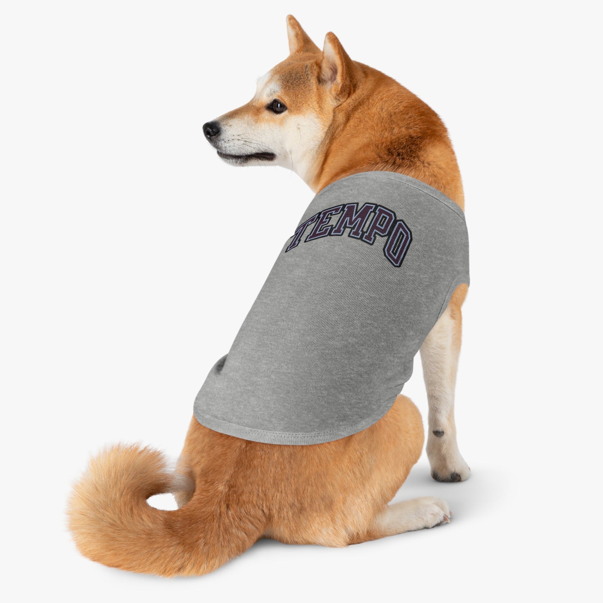 Toronto Tempo Dog Sweater | Chix Sports