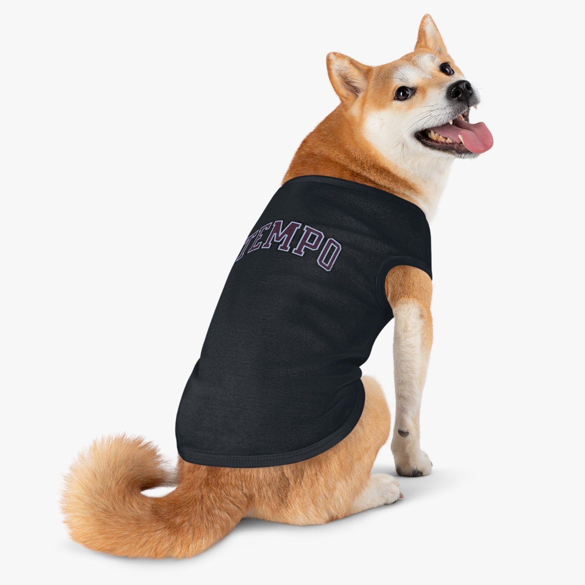 Toronto Tempo Dog Sweater | Chix Sports