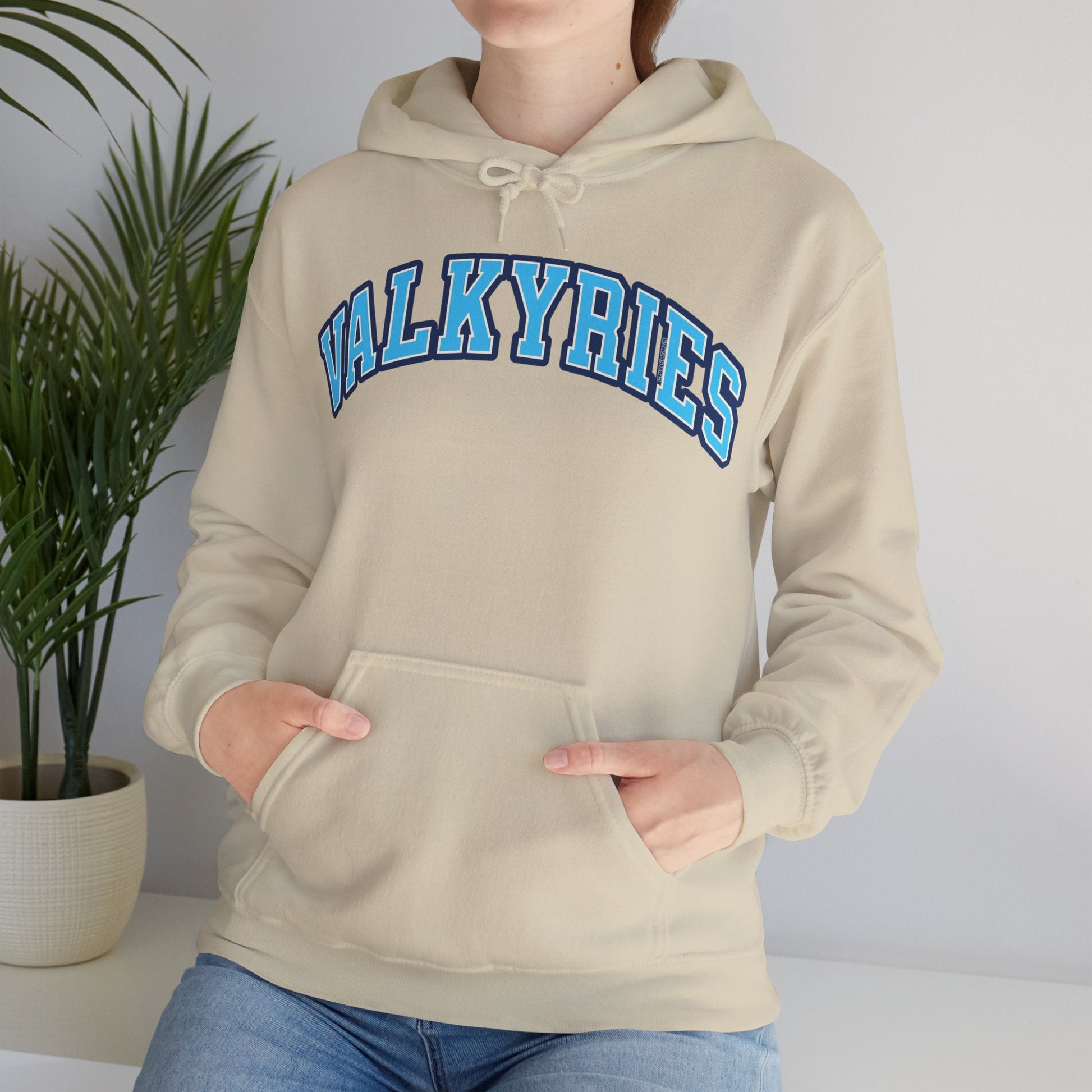Valkyries Volleyball Unisex Heavy Hoodie | Chix Sports