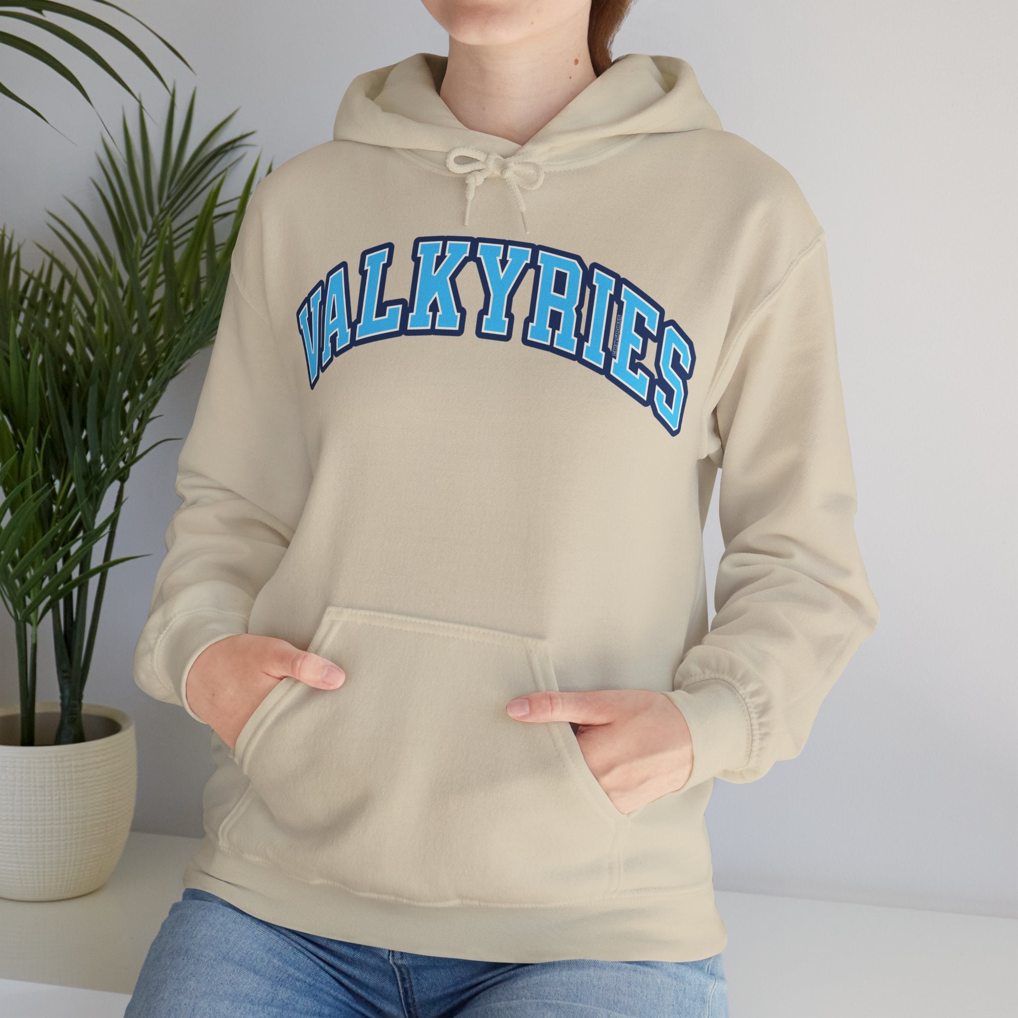 Valkyries Volleyball Unisex Heavy Hoodie | Chix Sports