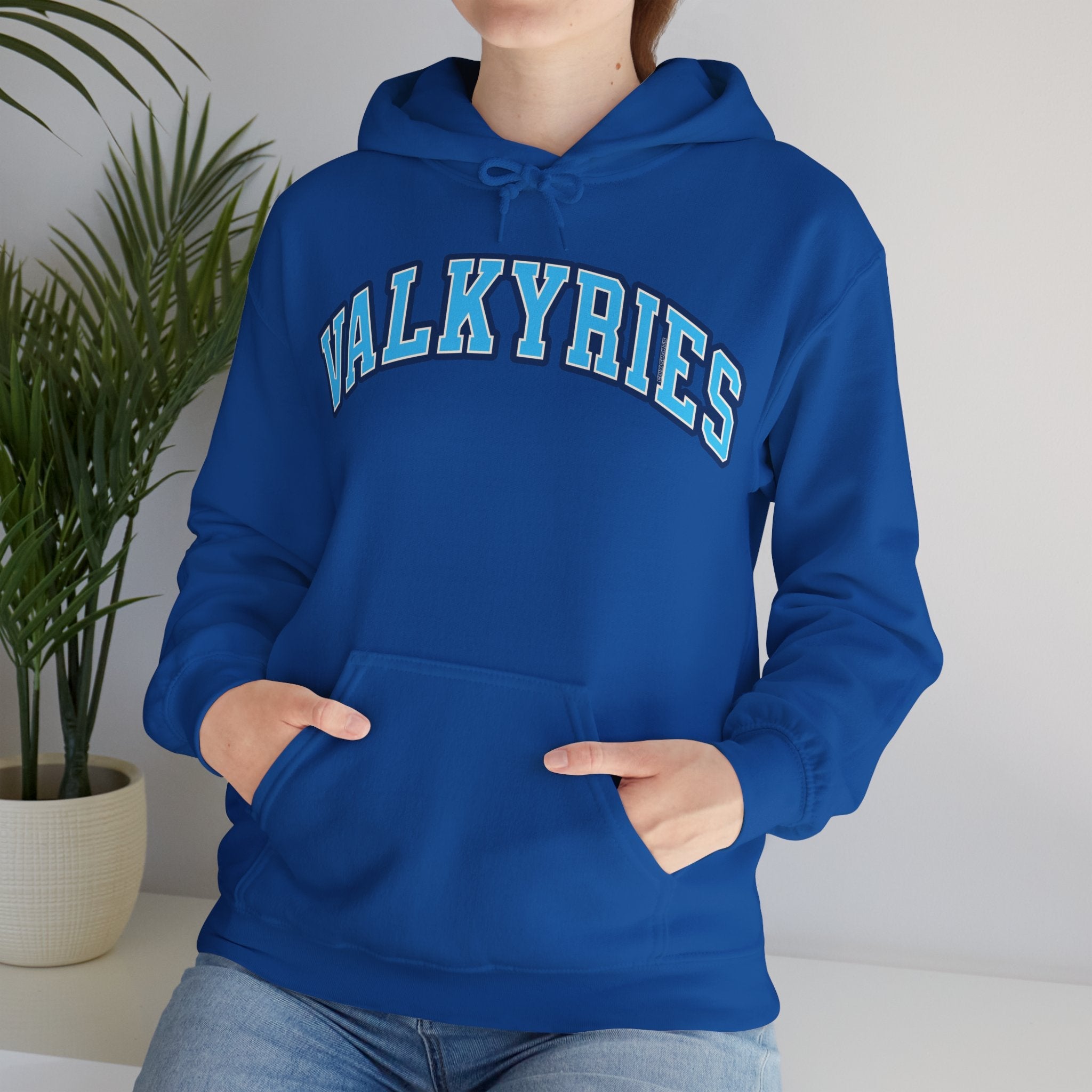 Valkyries Volleyball Unisex Heavy Hoodie | Chix Sports