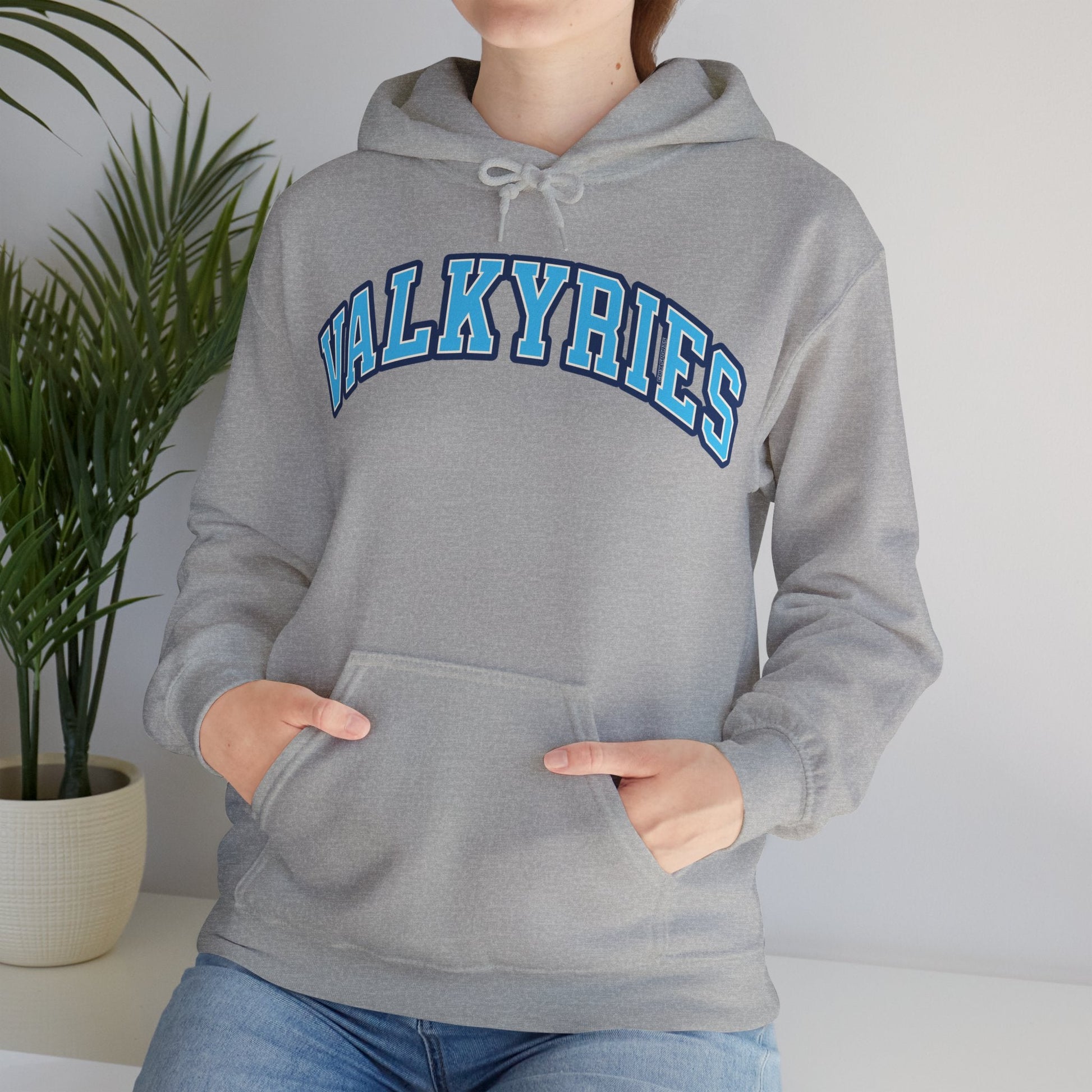 Valkyries Volleyball Unisex Heavy Hoodie | Chix Sports