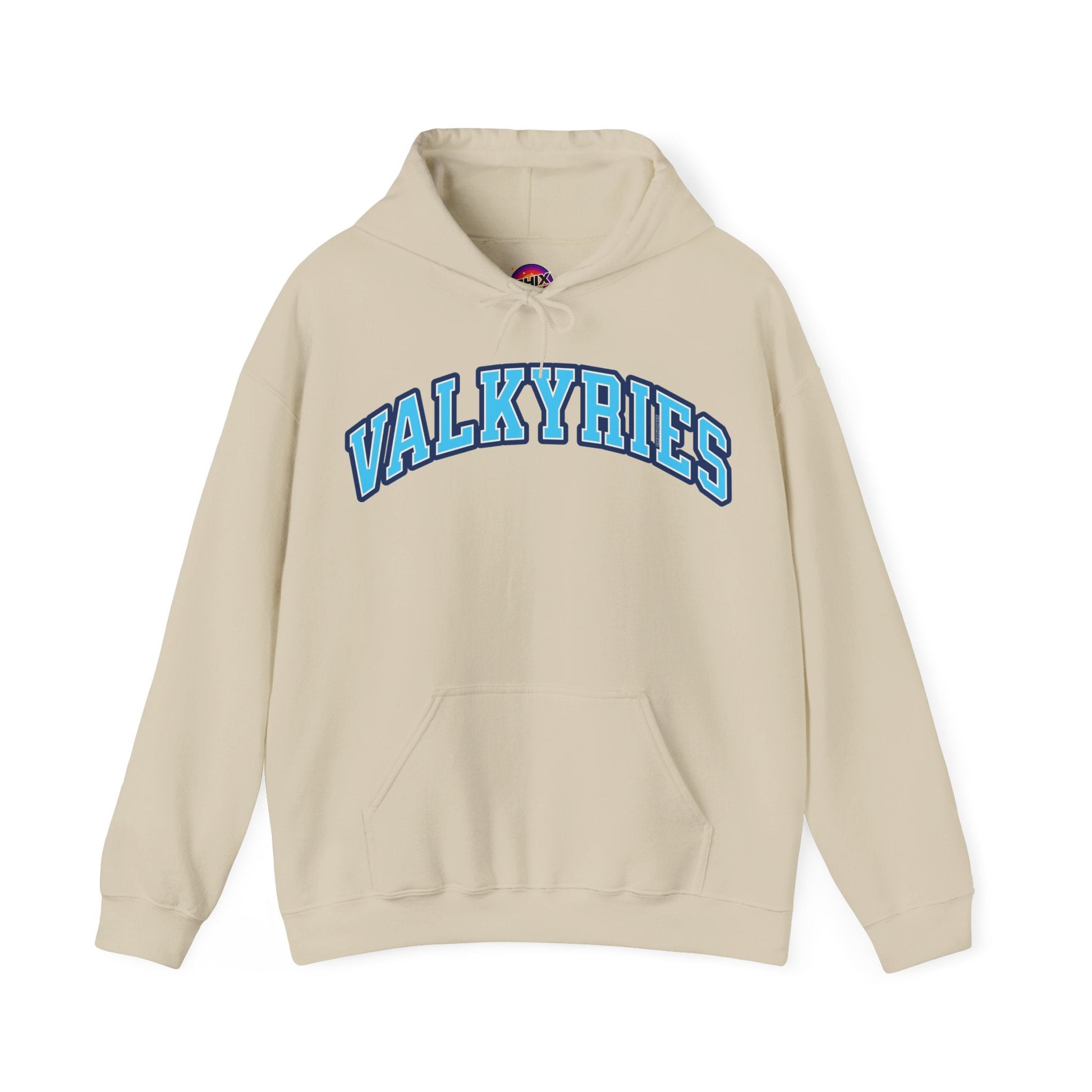 Valkyries Volleyball Unisex Heavy Hoodie | Chix Sports