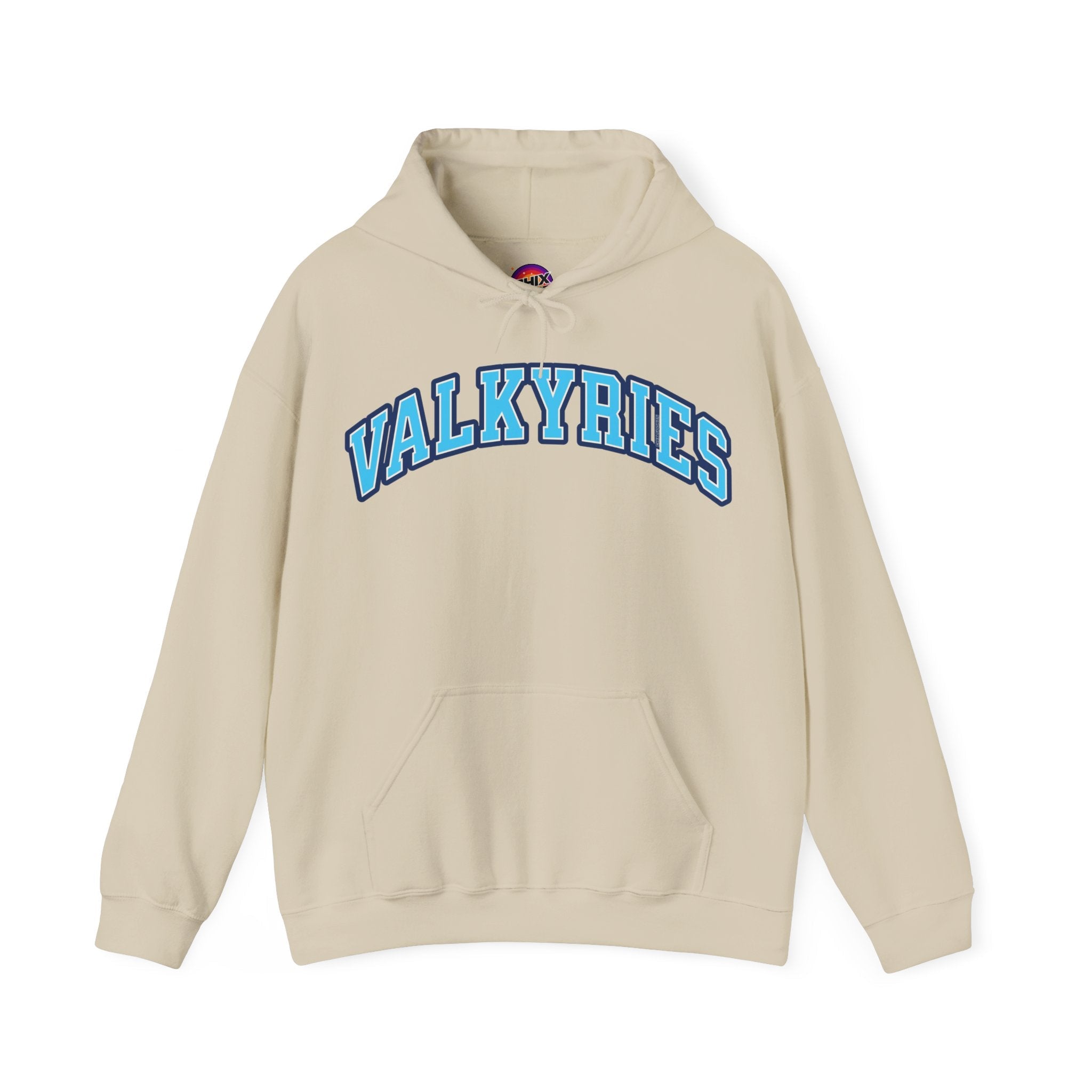 Valkyries Volleyball Unisex Heavy Hoodie | Chix Sports