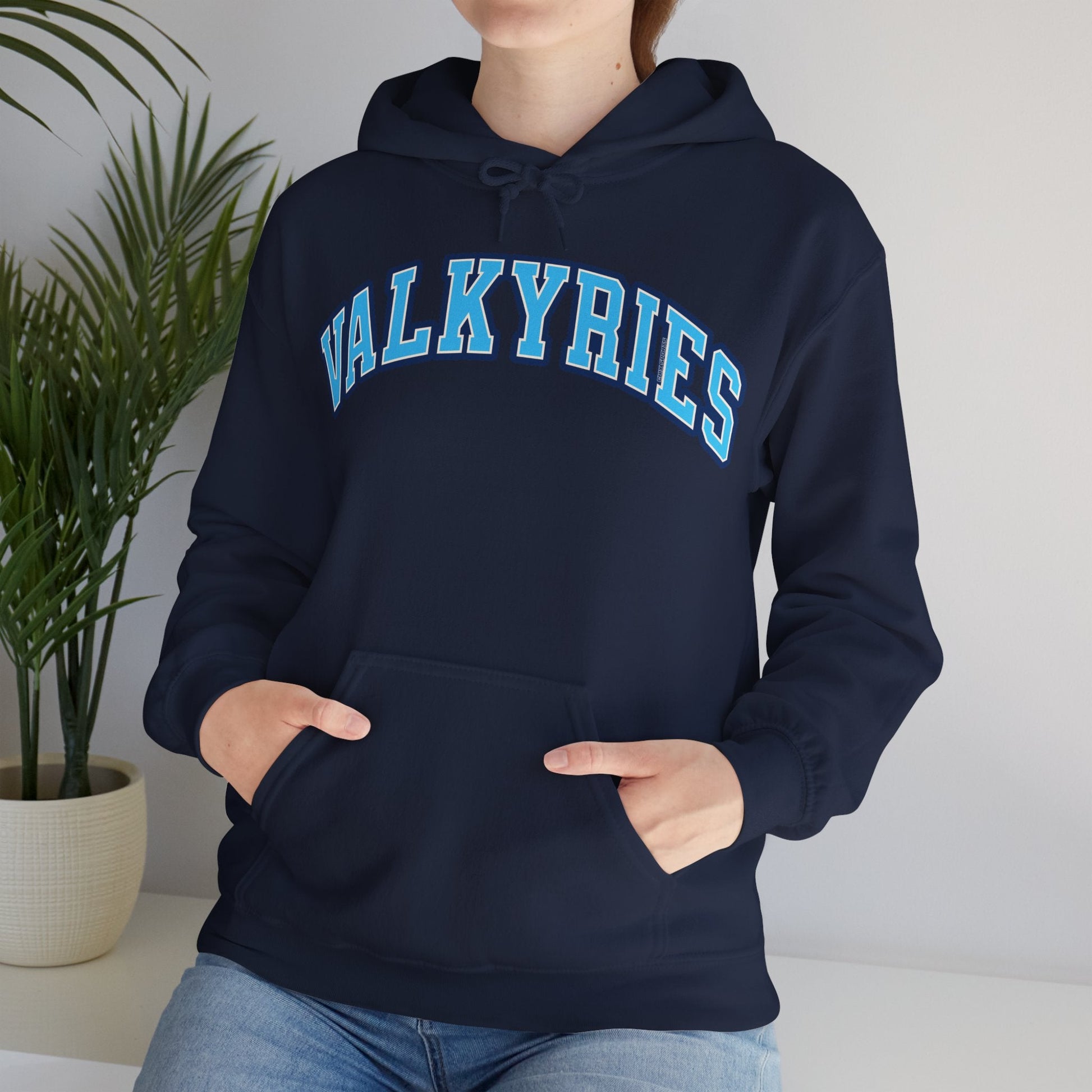 Valkyries Volleyball Unisex Heavy Hoodie | Chix Sports