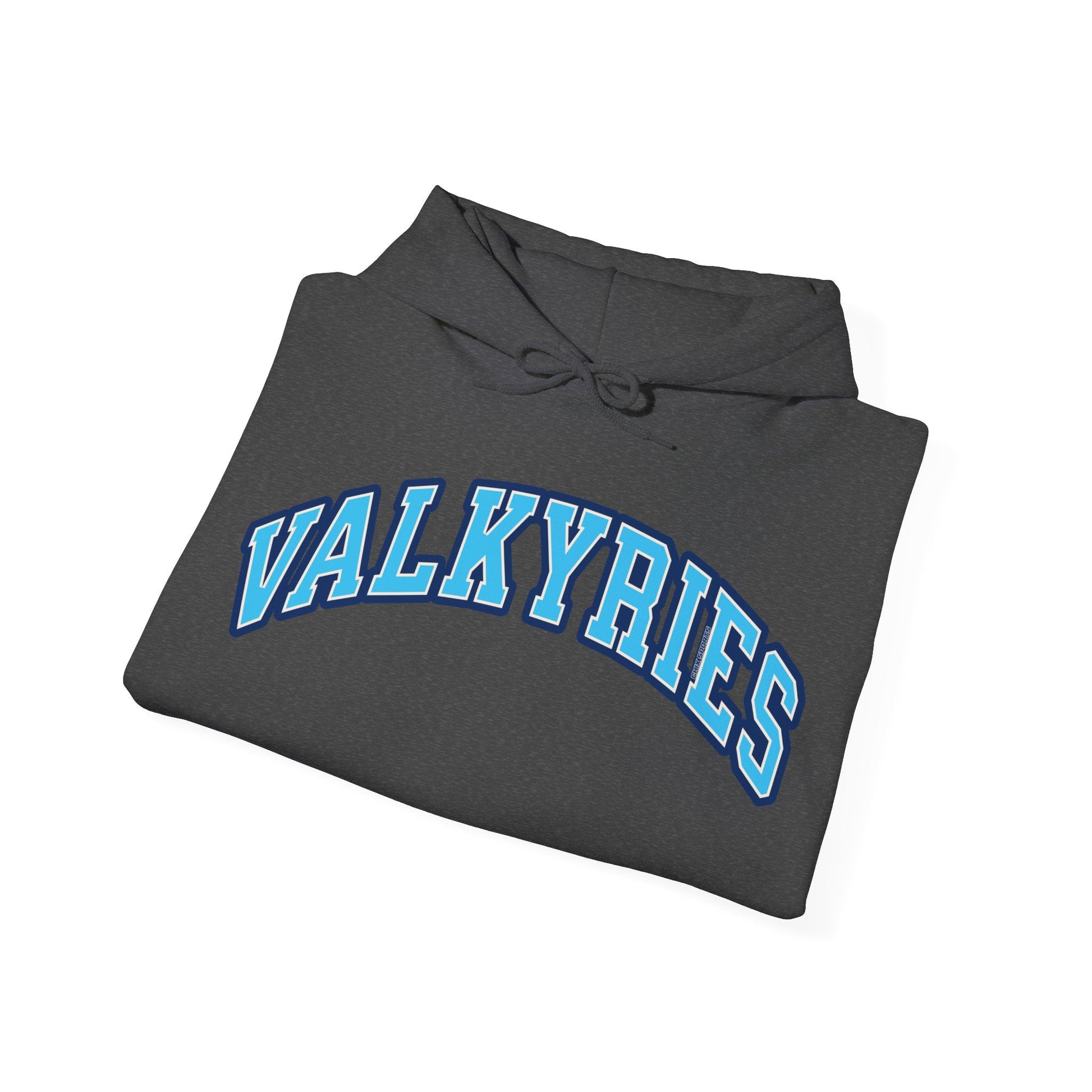 Valkyries Volleyball Unisex Heavy Hoodie | Chix Sports