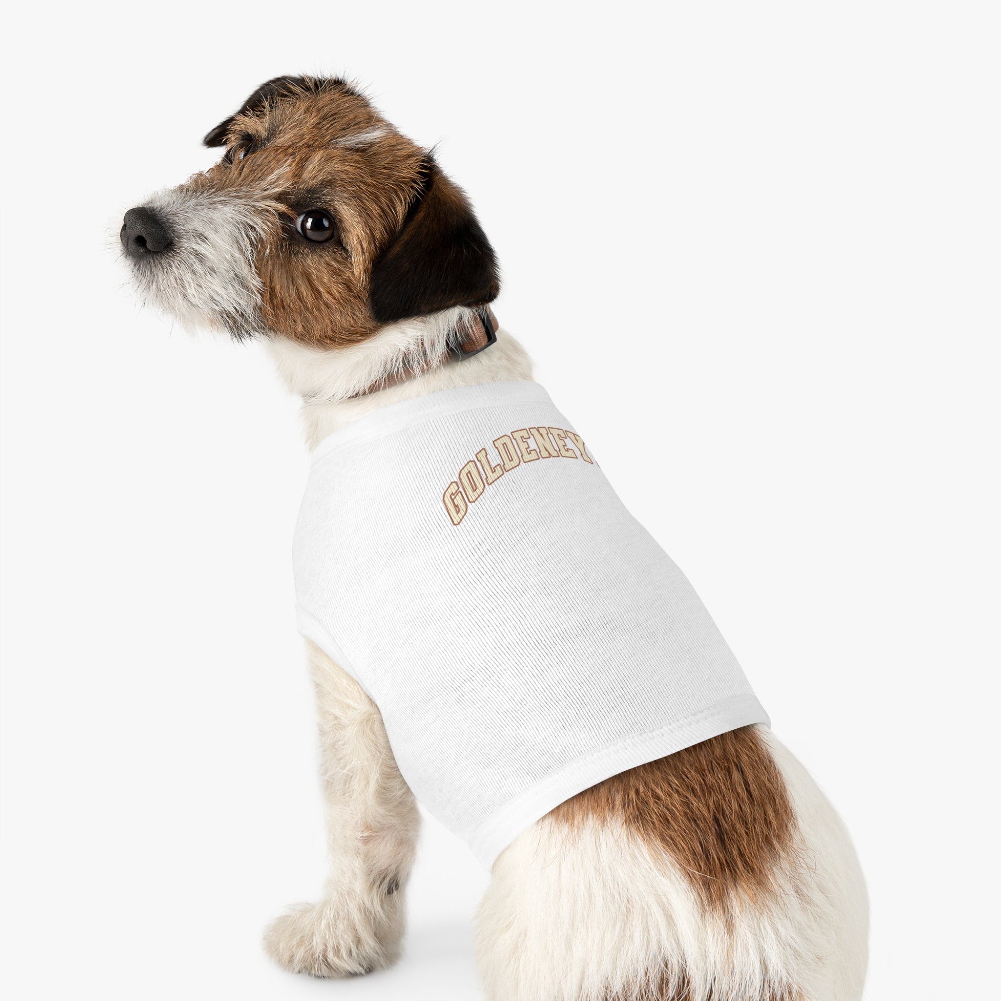 Vancouver Goldeneyes Dog Sweater | Chix Sports