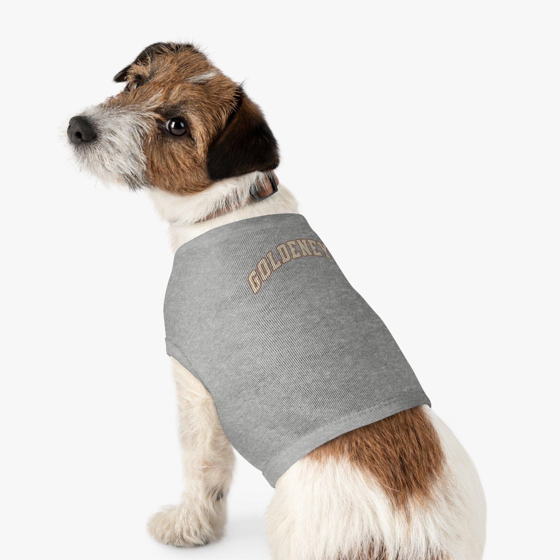 Vancouver Goldeneyes Dog Sweater | Chix Sports
