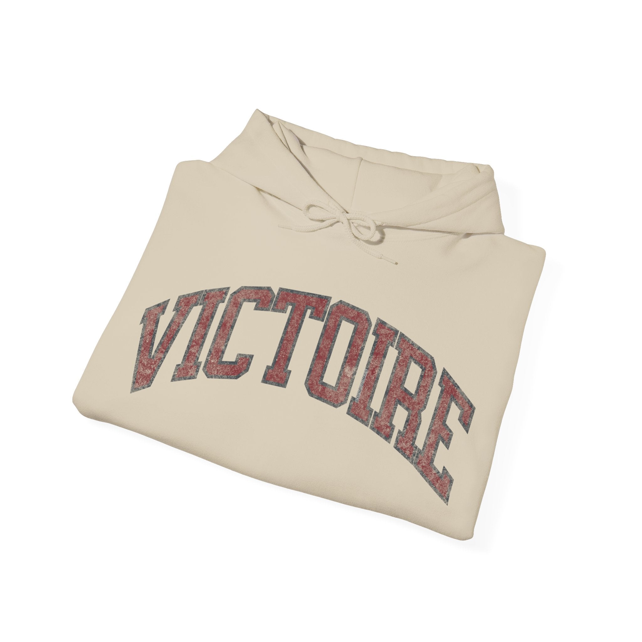 Victoire Women's Hockey Unisex Heavy Hoodie | Chix Sports