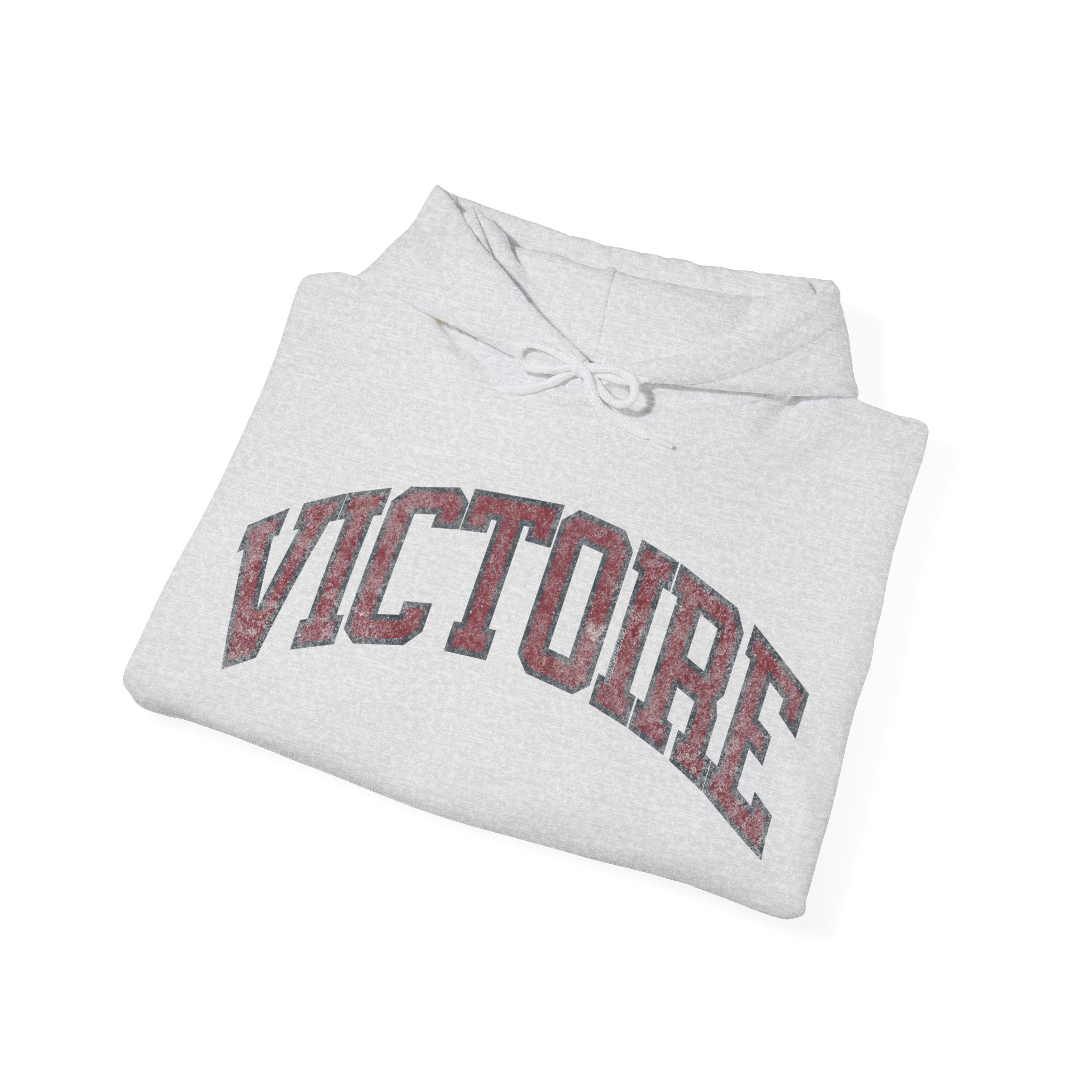 Victoire Women's Hockey Unisex Heavy Hoodie | Chix Sports