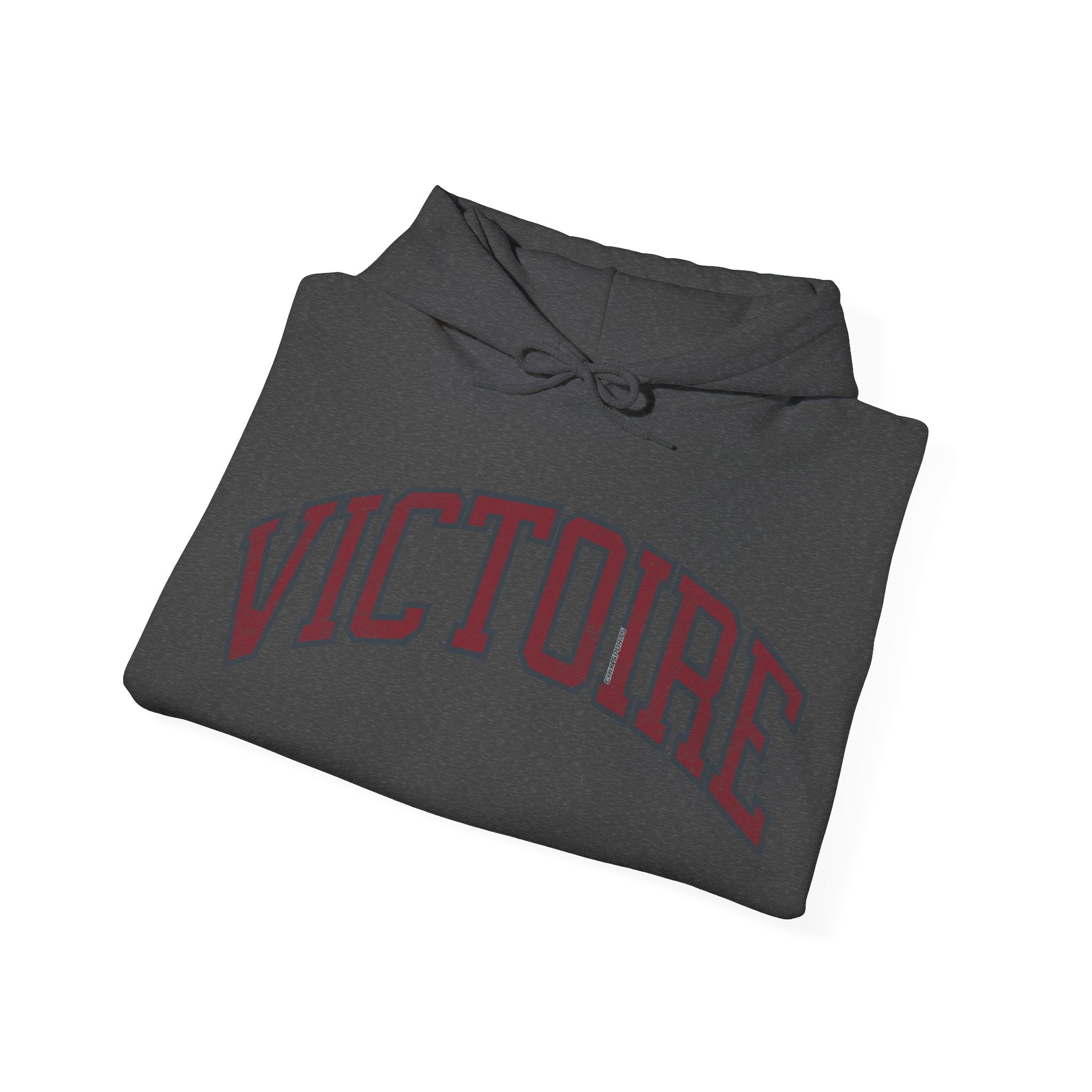 Victoire Women's Hockey Unisex Heavy Hoodie | Chix Sports
