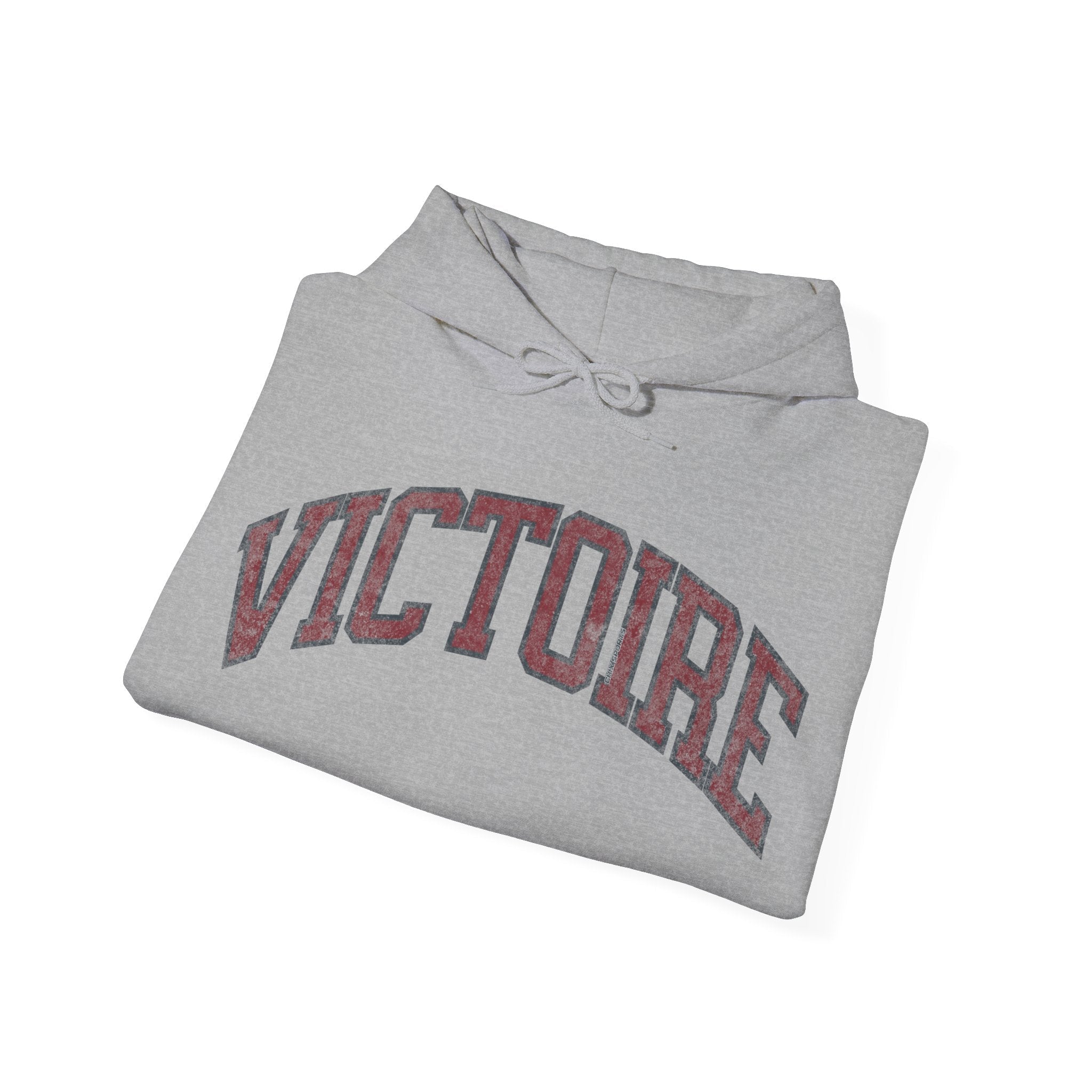 Victoire Women's Hockey Unisex Heavy Hoodie | Chix Sports
