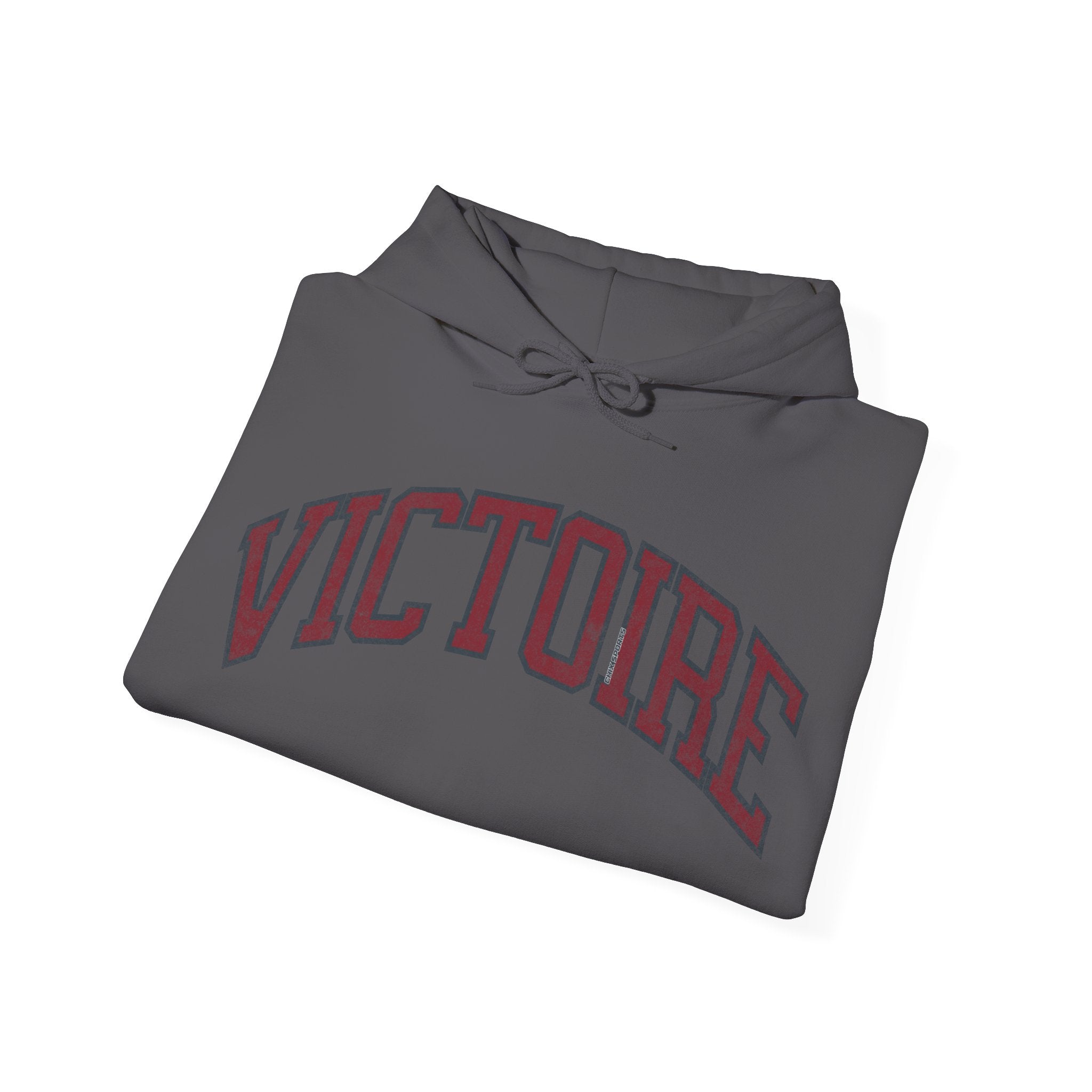 Victoire Women's Hockey Unisex Heavy Hoodie | Chix Sports