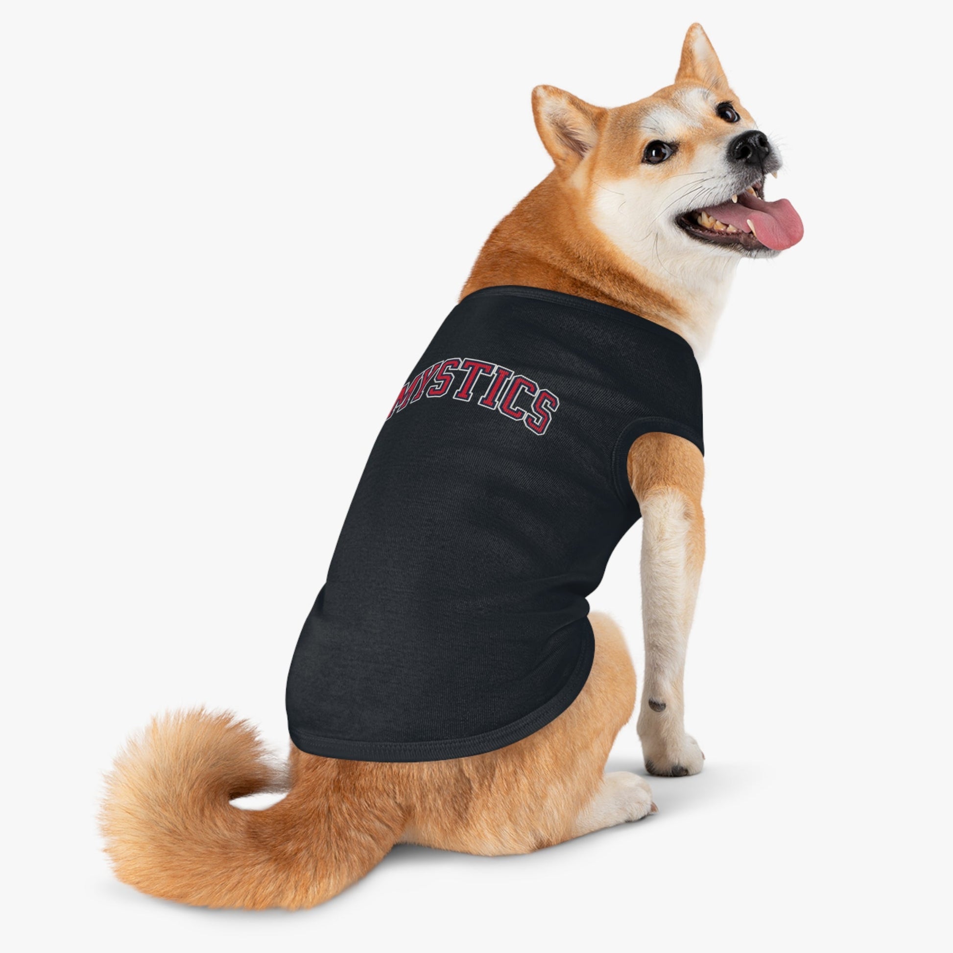 Washington Mystics Dog Sweater | Chix Sports