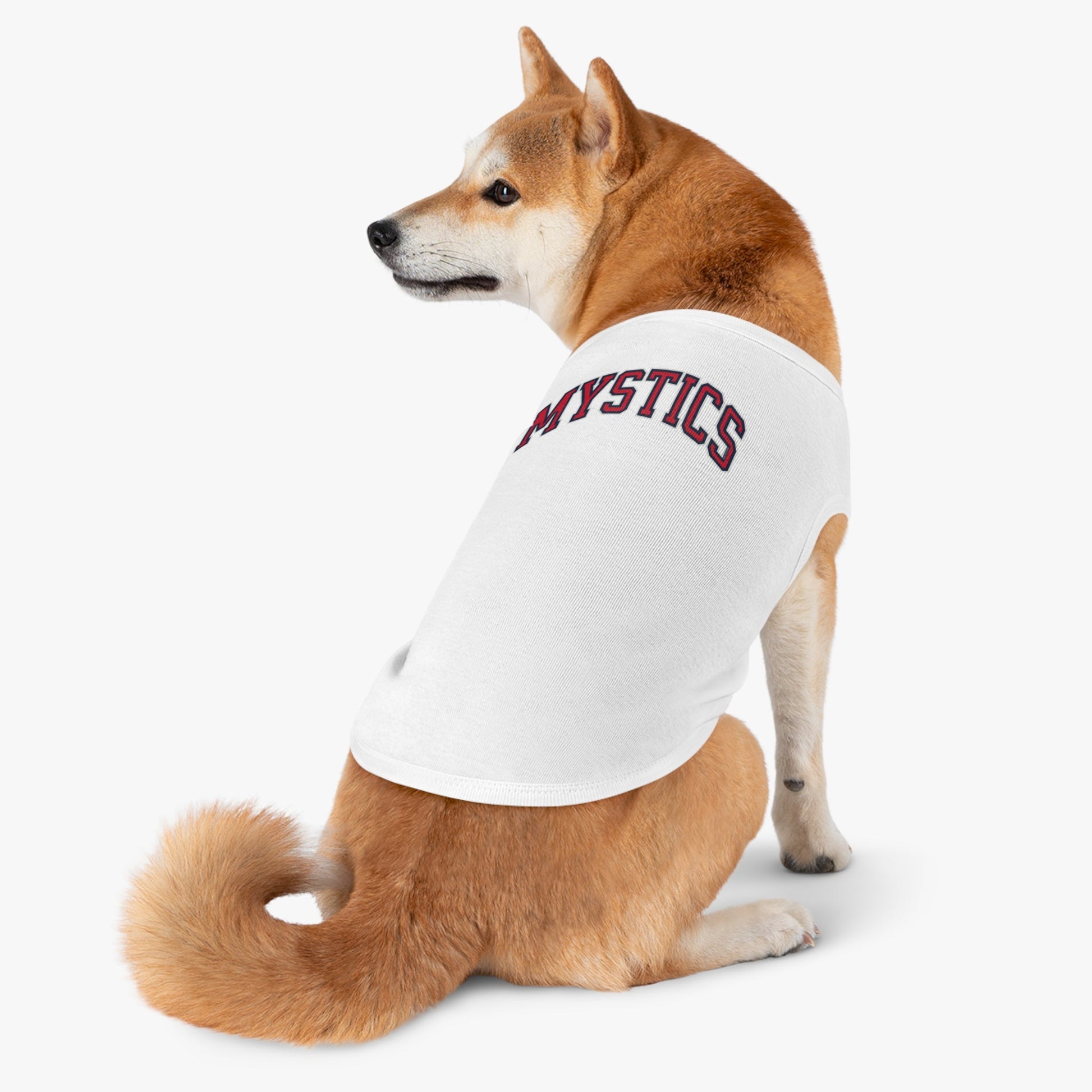 Washington Mystics Dog Sweater | Chix Sports